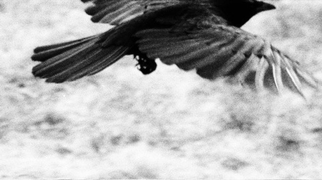 0EF8692C-37DB-462B-9DD9-5C069E9A822C_4_5005_c.jpeg