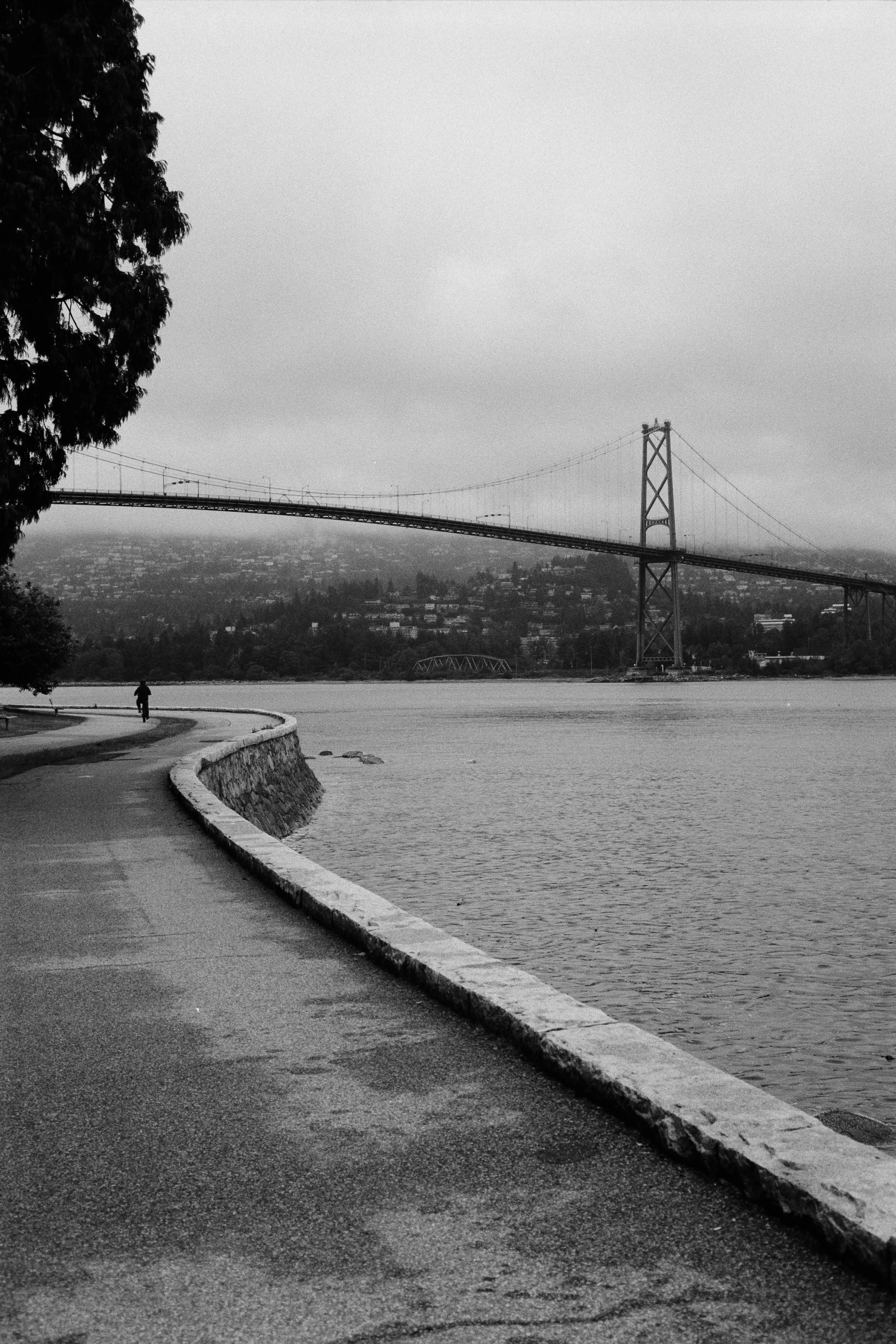 _DSF2736.jpg