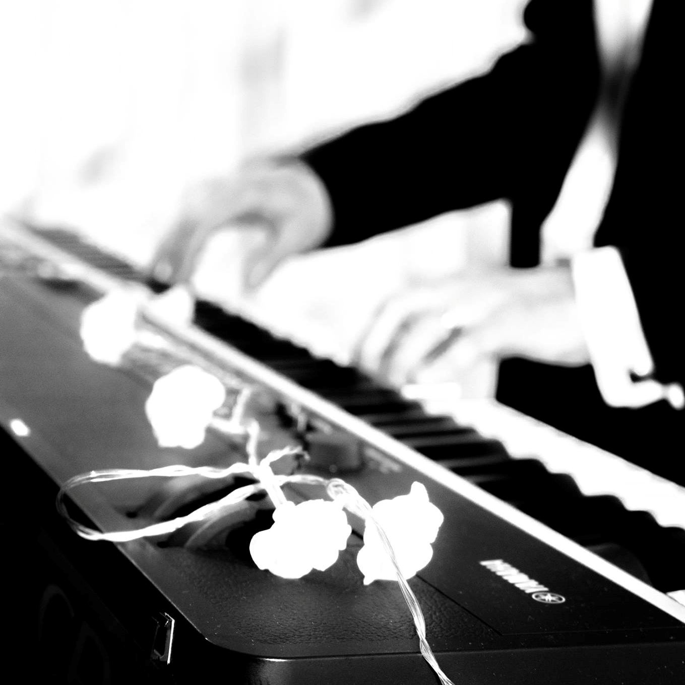 Nonns pic 1 by Kristin Bass.jpg
