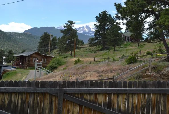 Wapiti - View of Longs Peak
