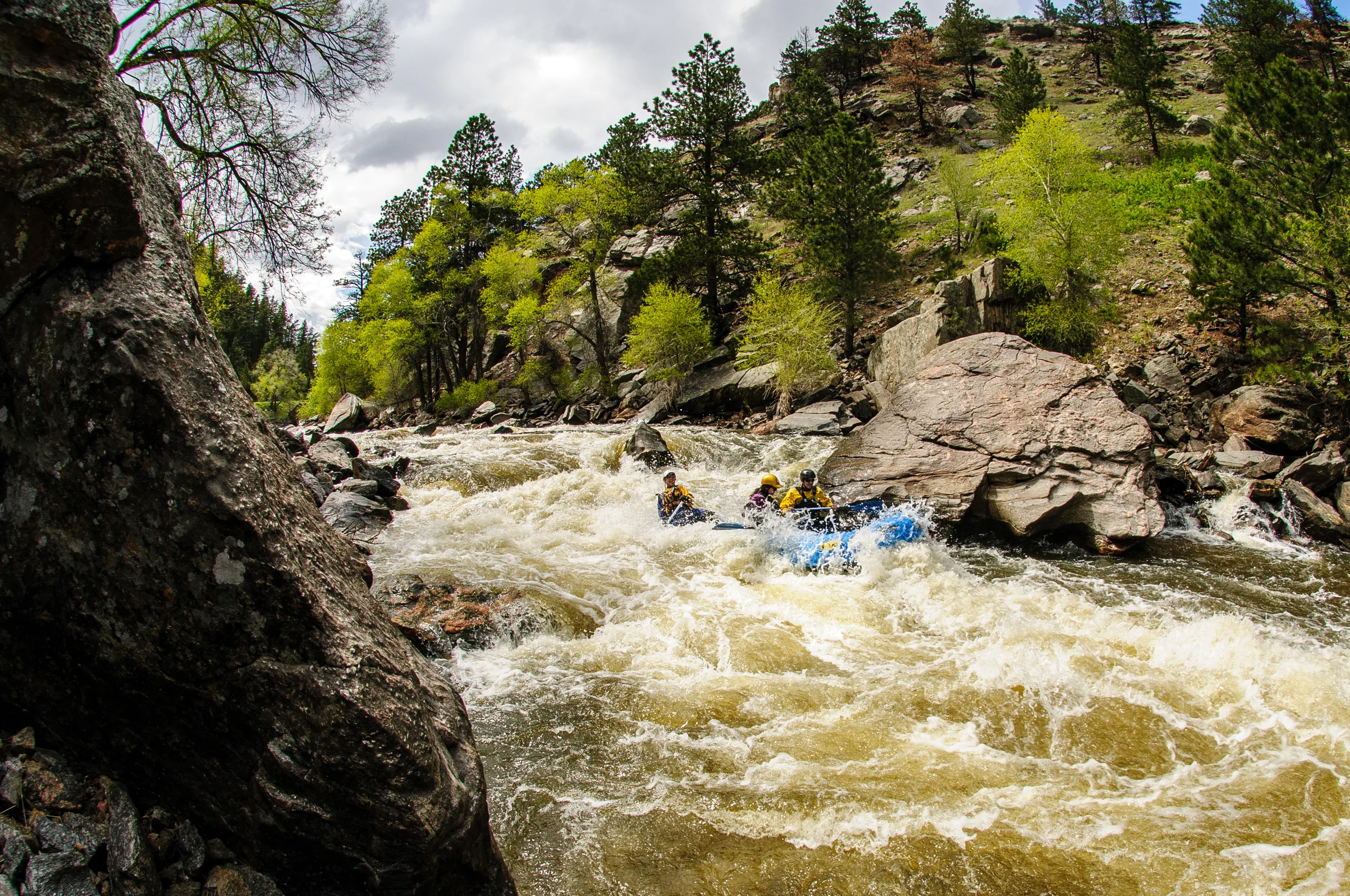 Whitewater rafting on the Poudre (photo courtesy of our friends at Whitewater Mountain Descents, Ft Collins, CO)