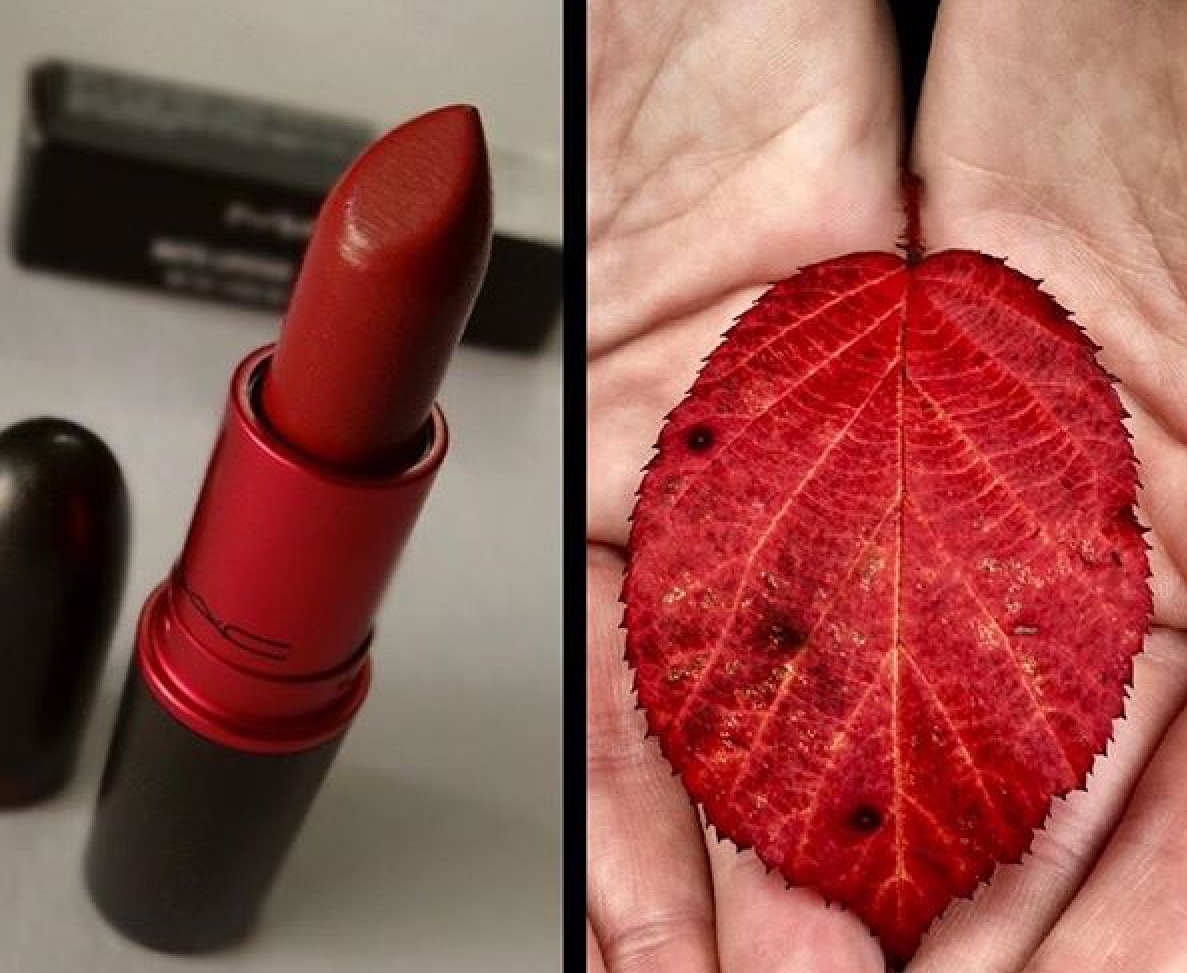 #naturesbeauty #naturescolors #naturescolourpalette #mac #mua #bridalmua #bridalmakeup #birminghammakeupartist #redlips #redlipstick #realbride #nicolahoneyartistry #leaves #nature #makeupartist #birmingham #weddingsupplier #makeupinspiration #makeupinspo #bridalinspo #autumn #autumnbride