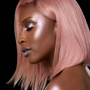 Fame in the Digital Age