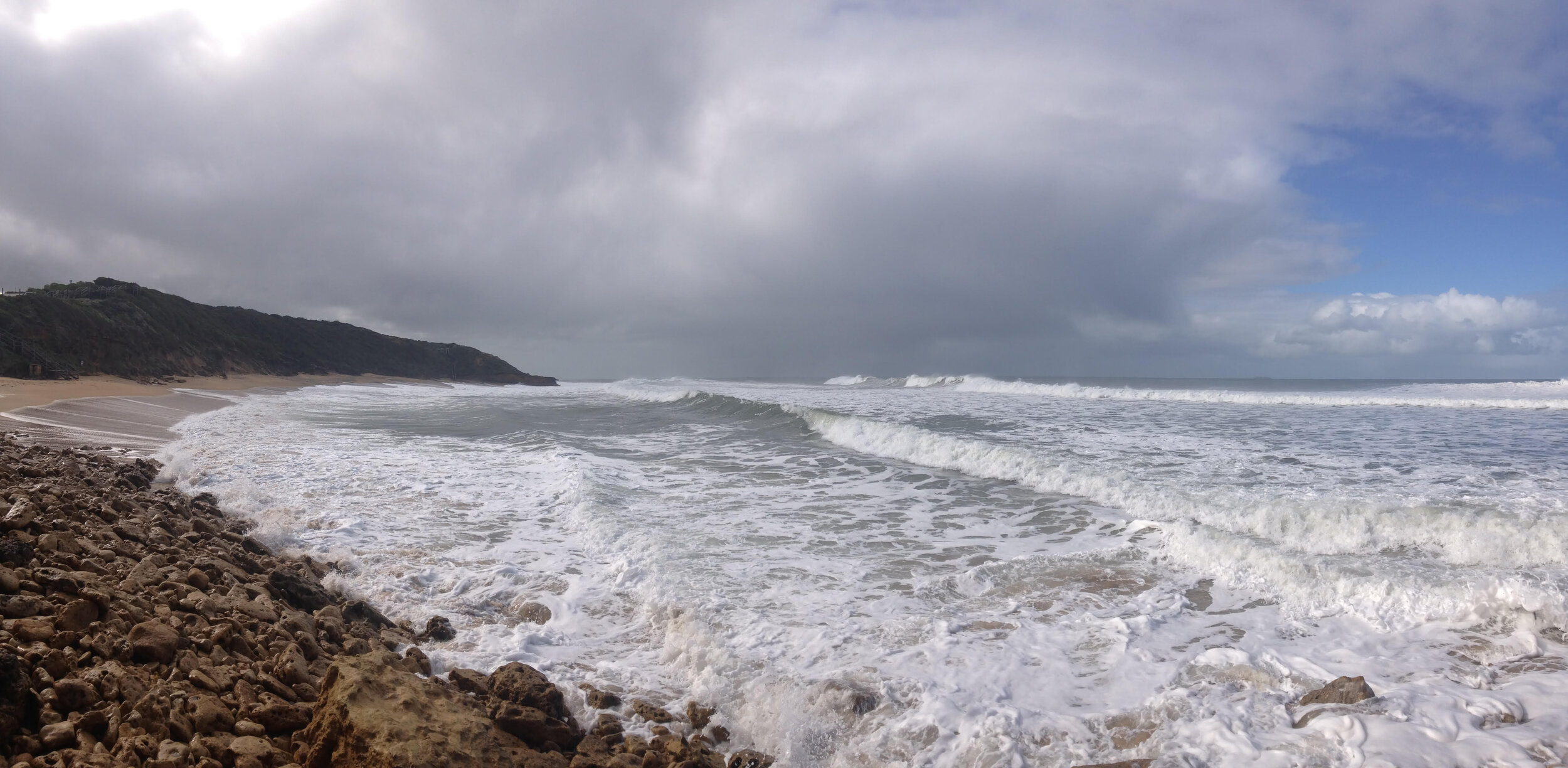 The Australia Fires, and Other Forms of Loss