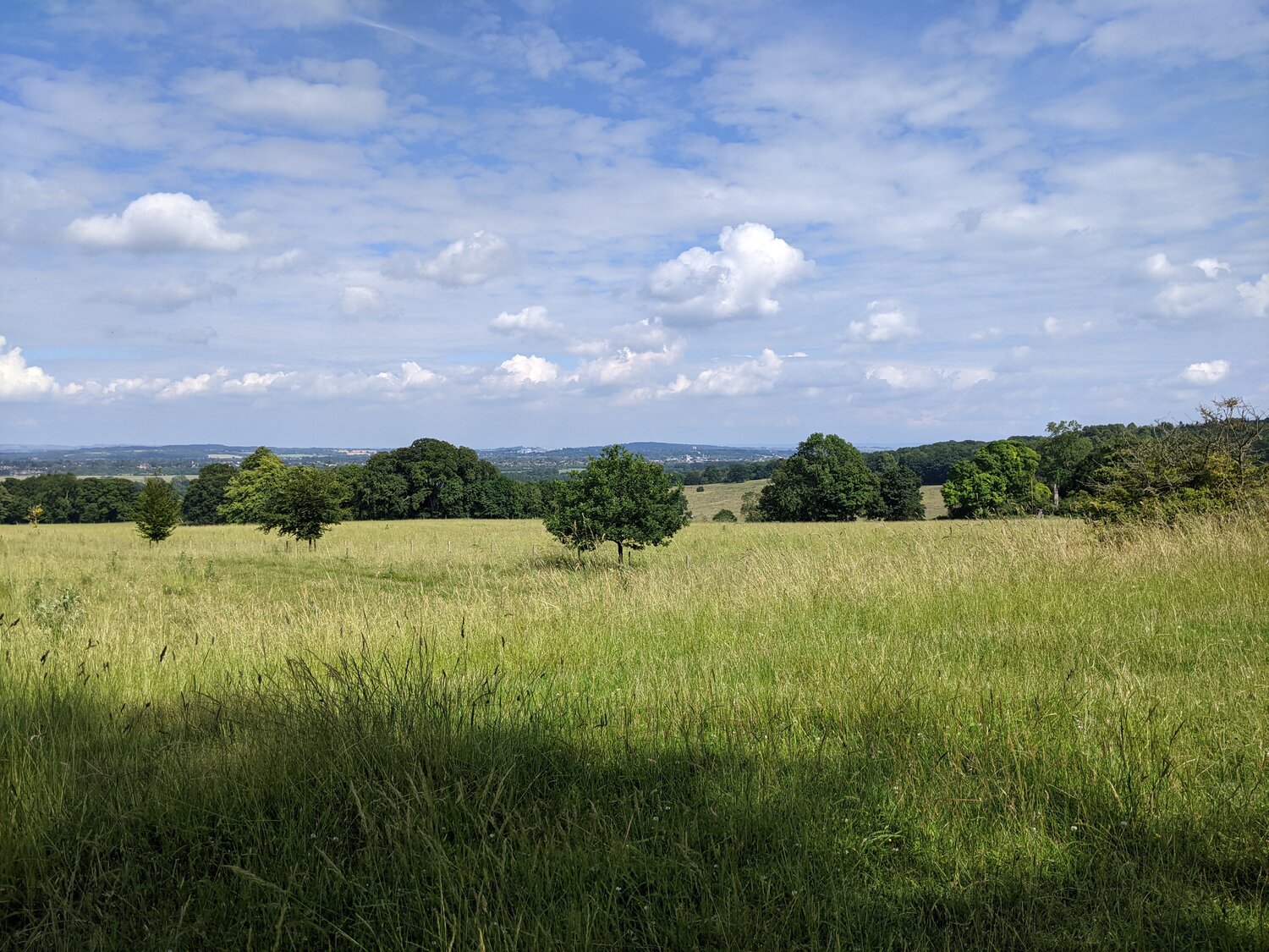 The view from Wytham Woods over Oxford