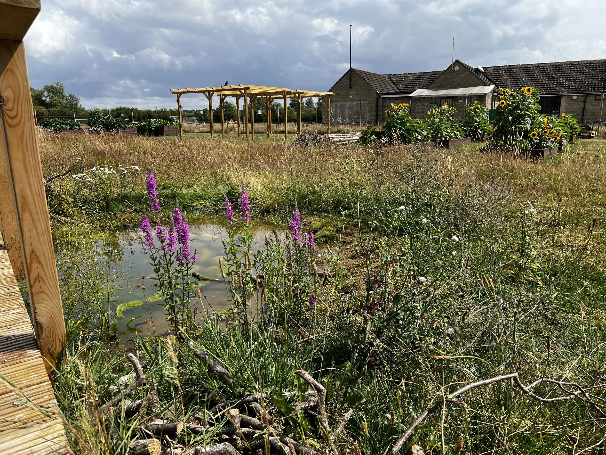 Cherwell garden.jpg