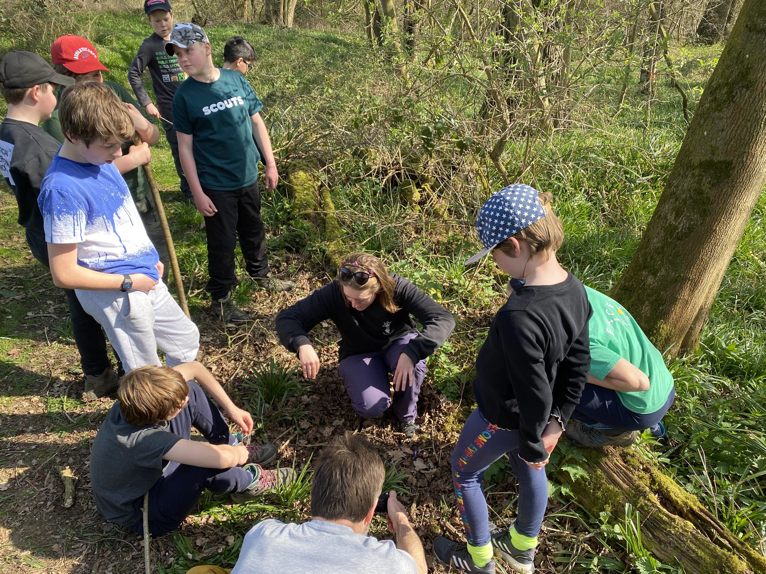 Scouts doing Forestry and Naturalist badges at Wytham Woods — Oxford ...