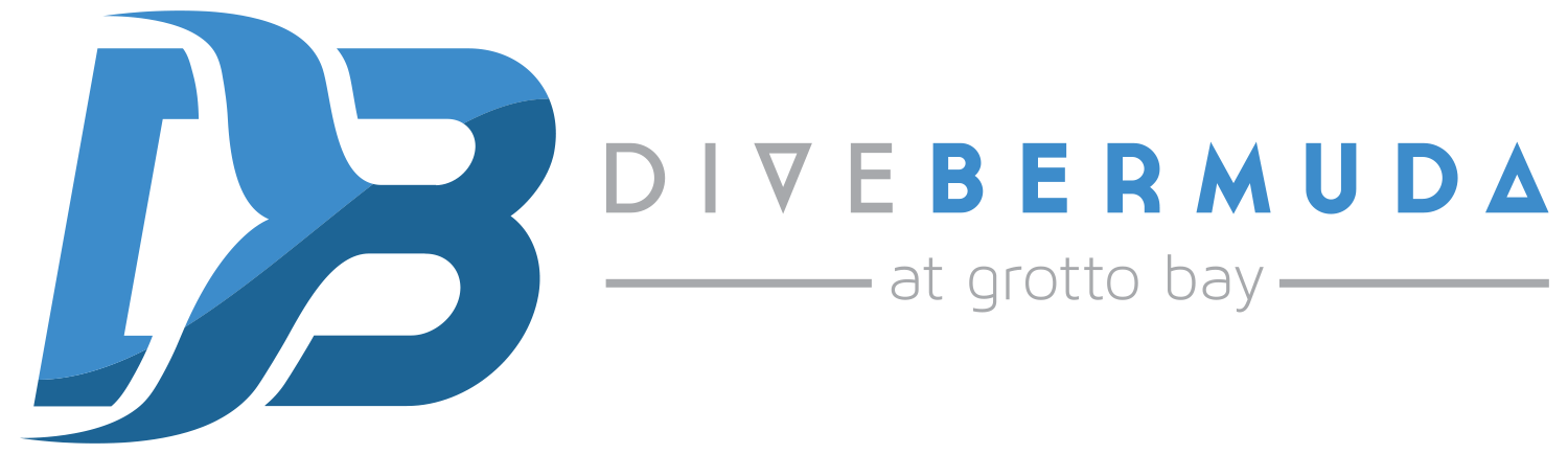 Dive Bermuda at Grotto Bay