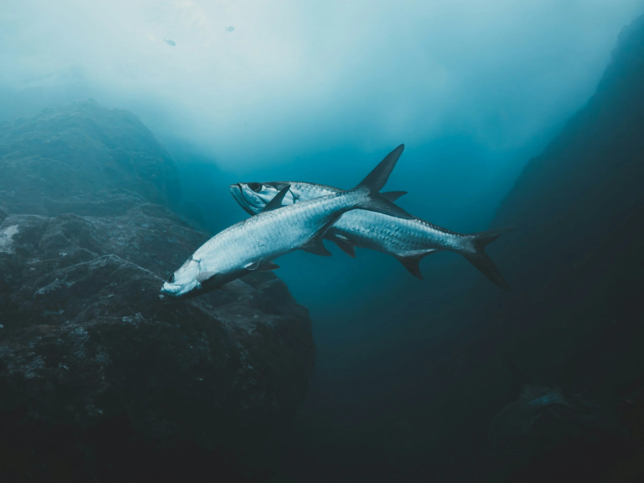 unsplash-image-B9-8Tu-t2QM.jpg