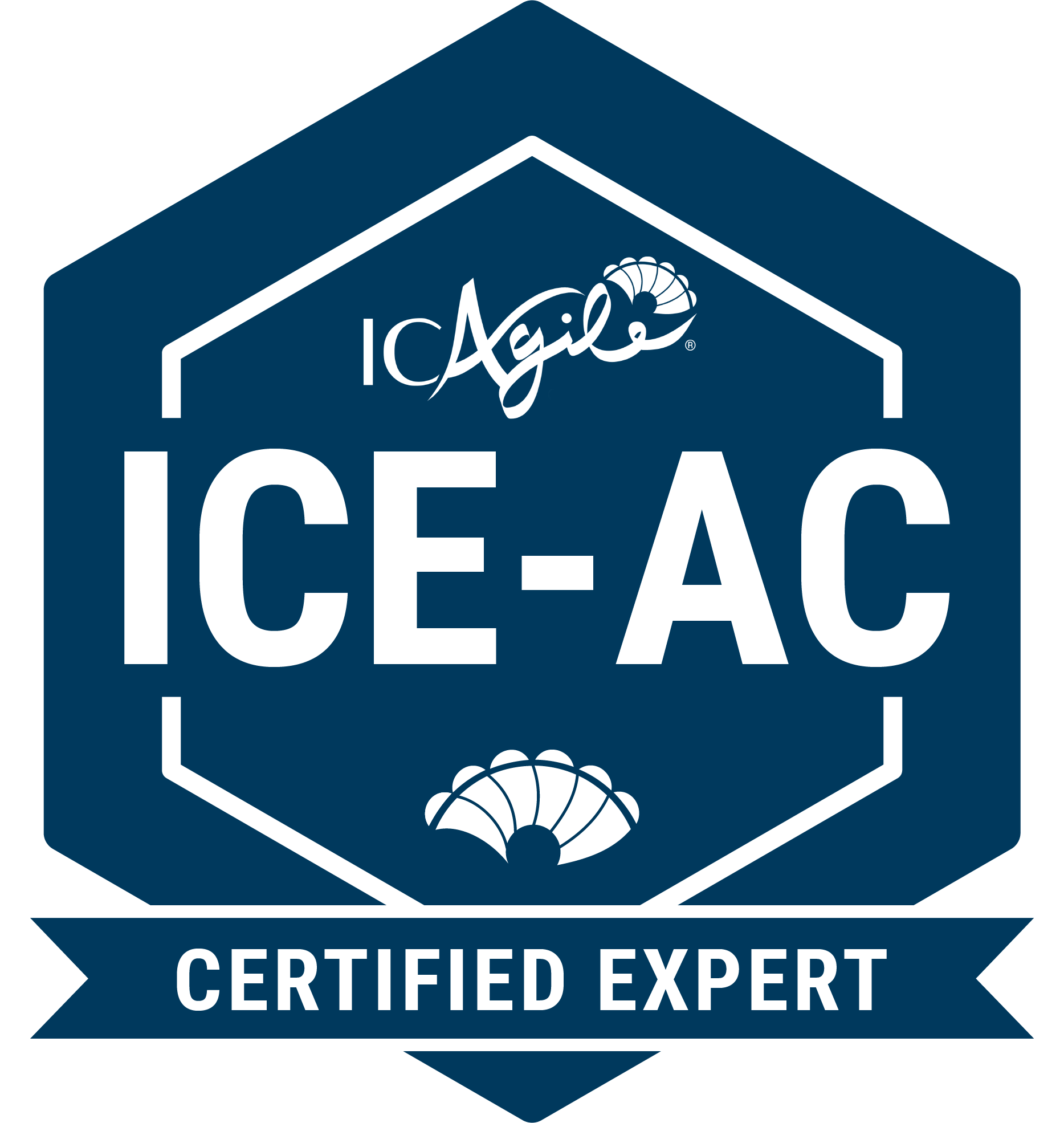 ICE-AC.png