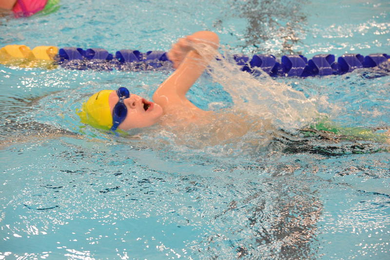 PHOTO BY ANDY HUTCHISON The Newtown Torpedoes Swim-A-Thon, held at Newtown High School on January 31, drew dozens of swimmers who are raising money through donations and pledges for the Newtown Scholarship Association to support The Daniel Barden Newtown Torpedo Scholarship, as well as go toward present and future needs of the team.