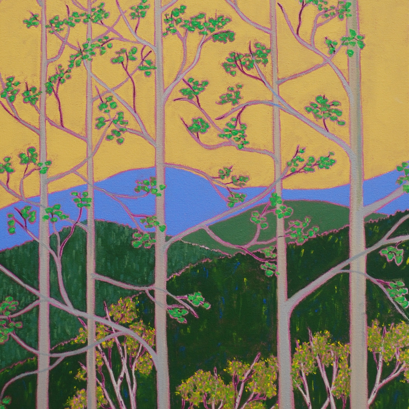 Marcia Crumley_Spring Overlook_36in x 28in acrylic on canvas_August 2017_web.jpg