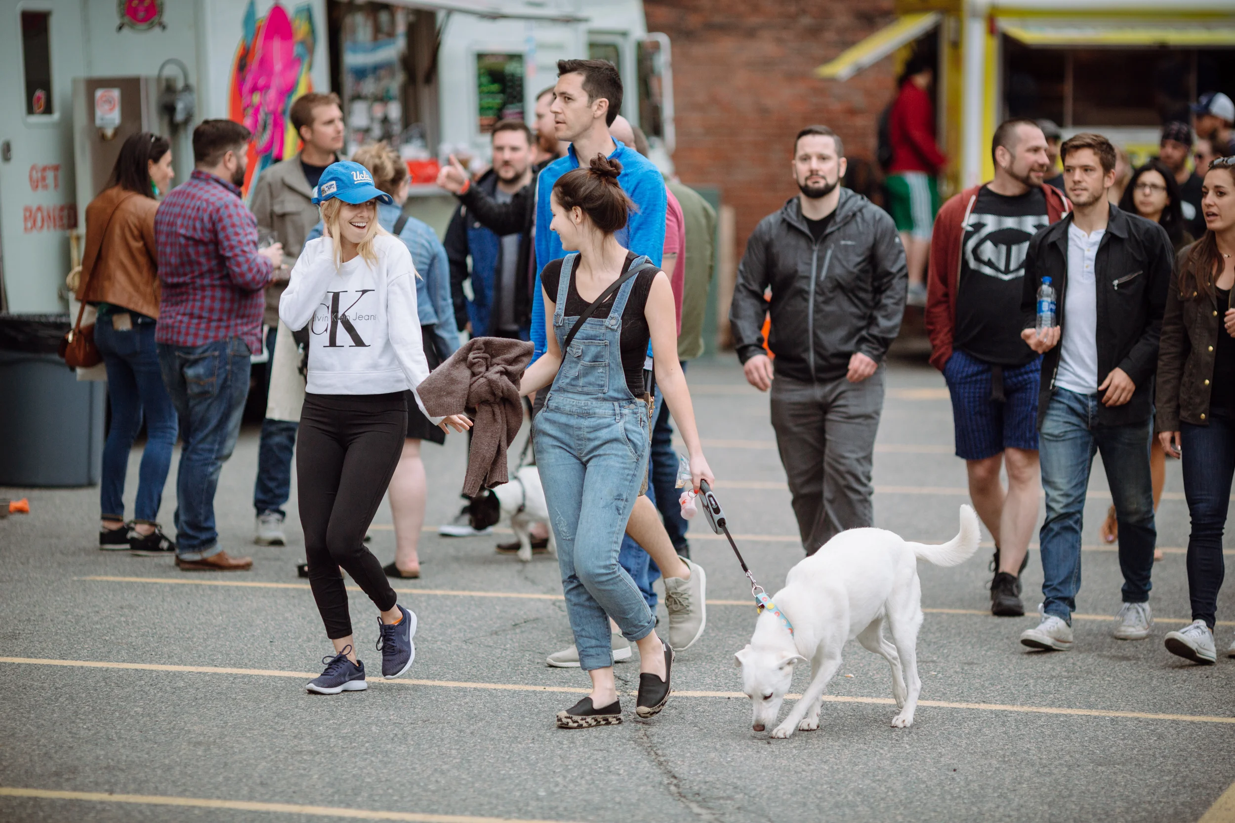 fishmongers friend dog food
