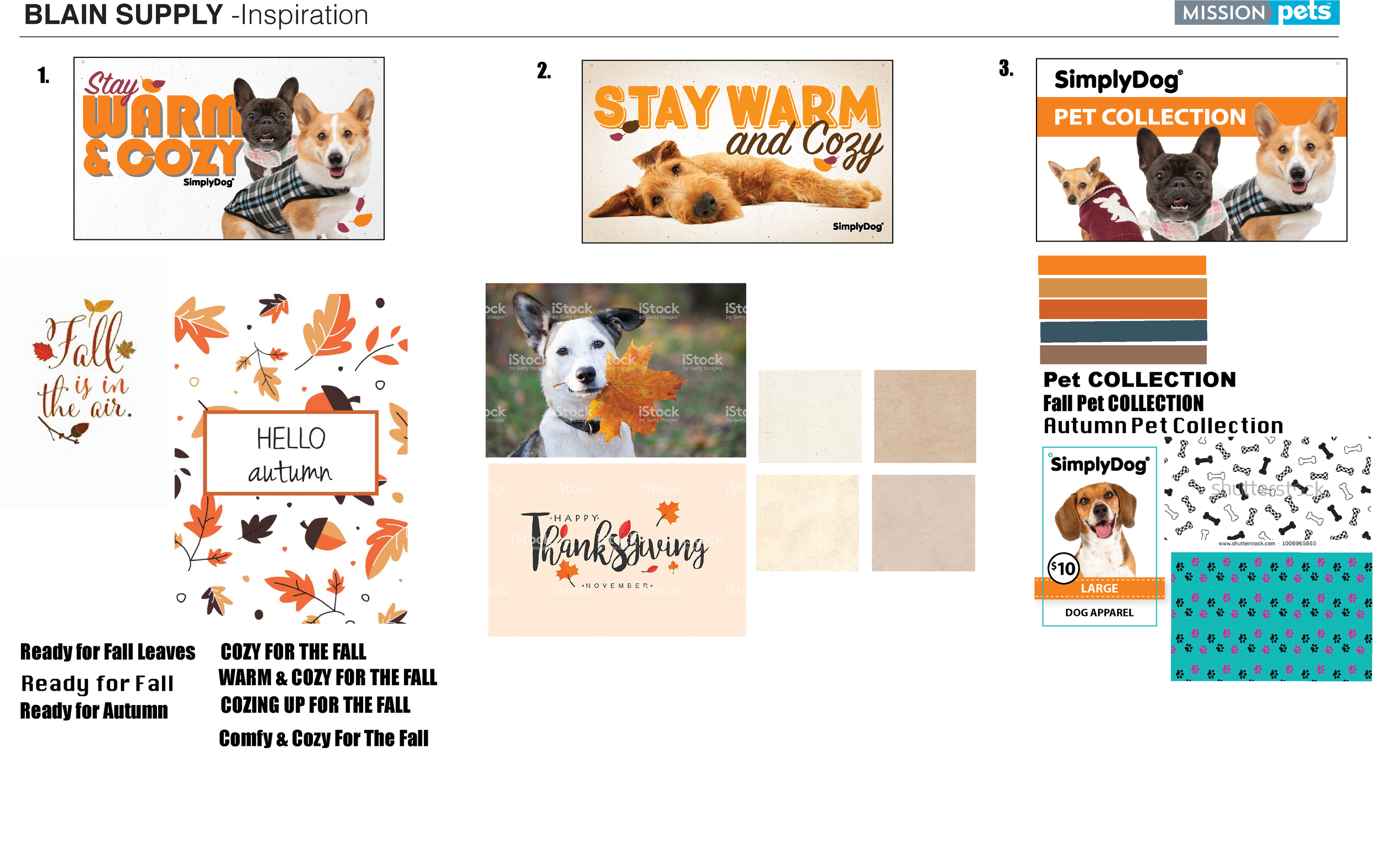 BLS Inspiration.png