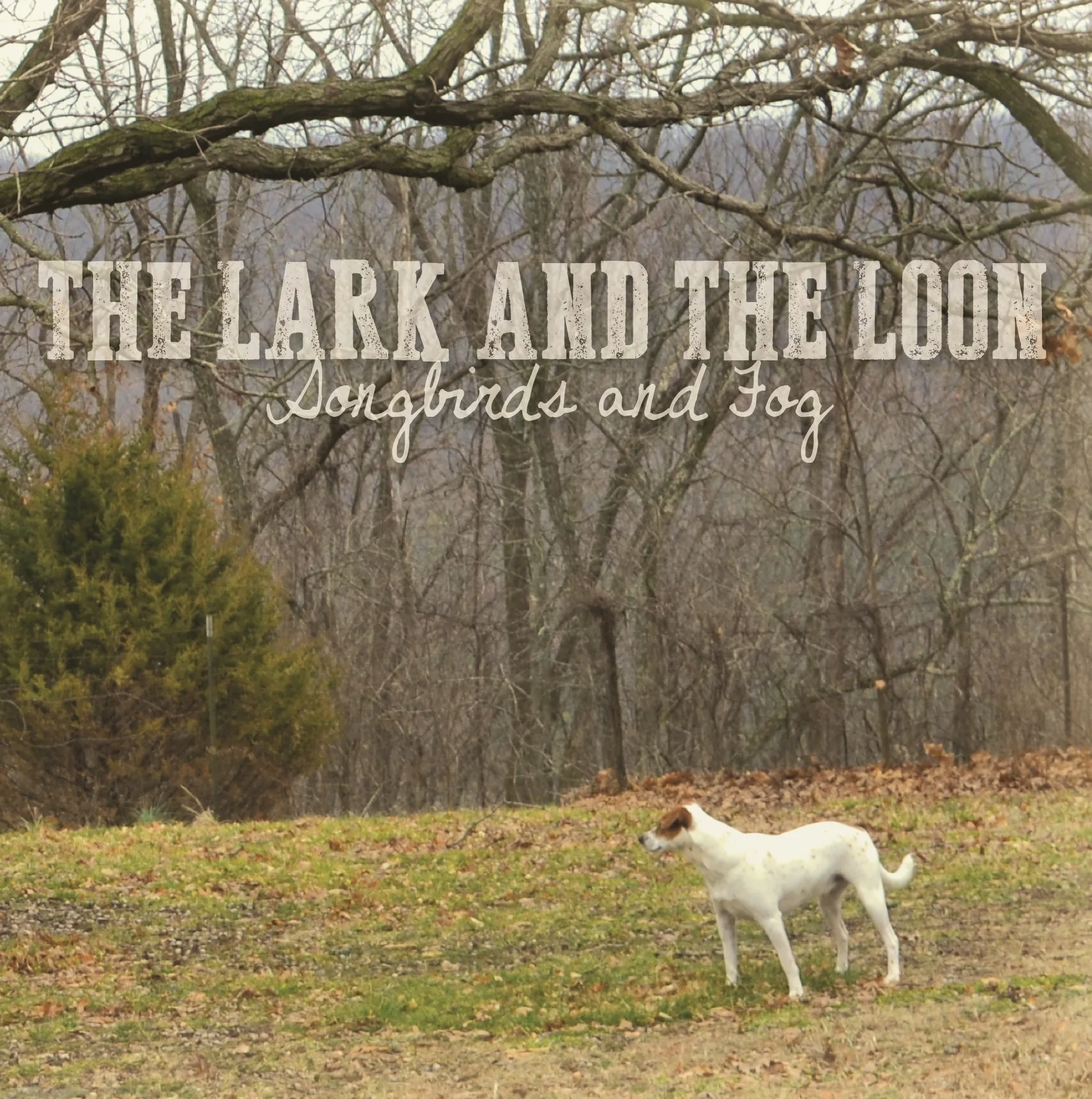 Songbirds and Fog CD