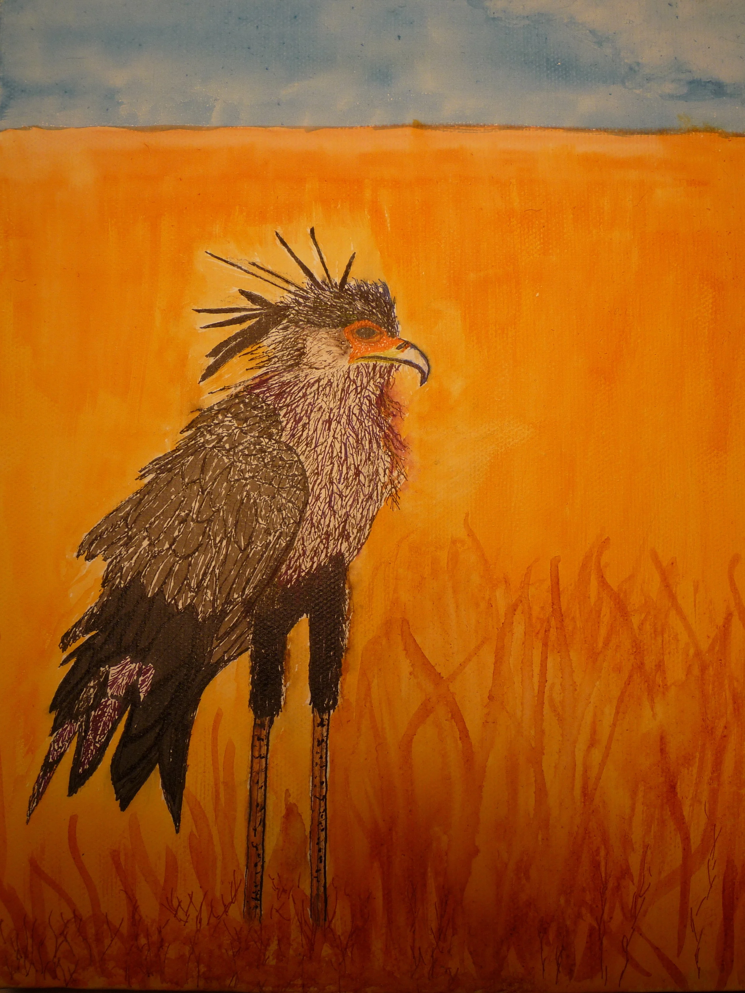 Secratary bird.JPG