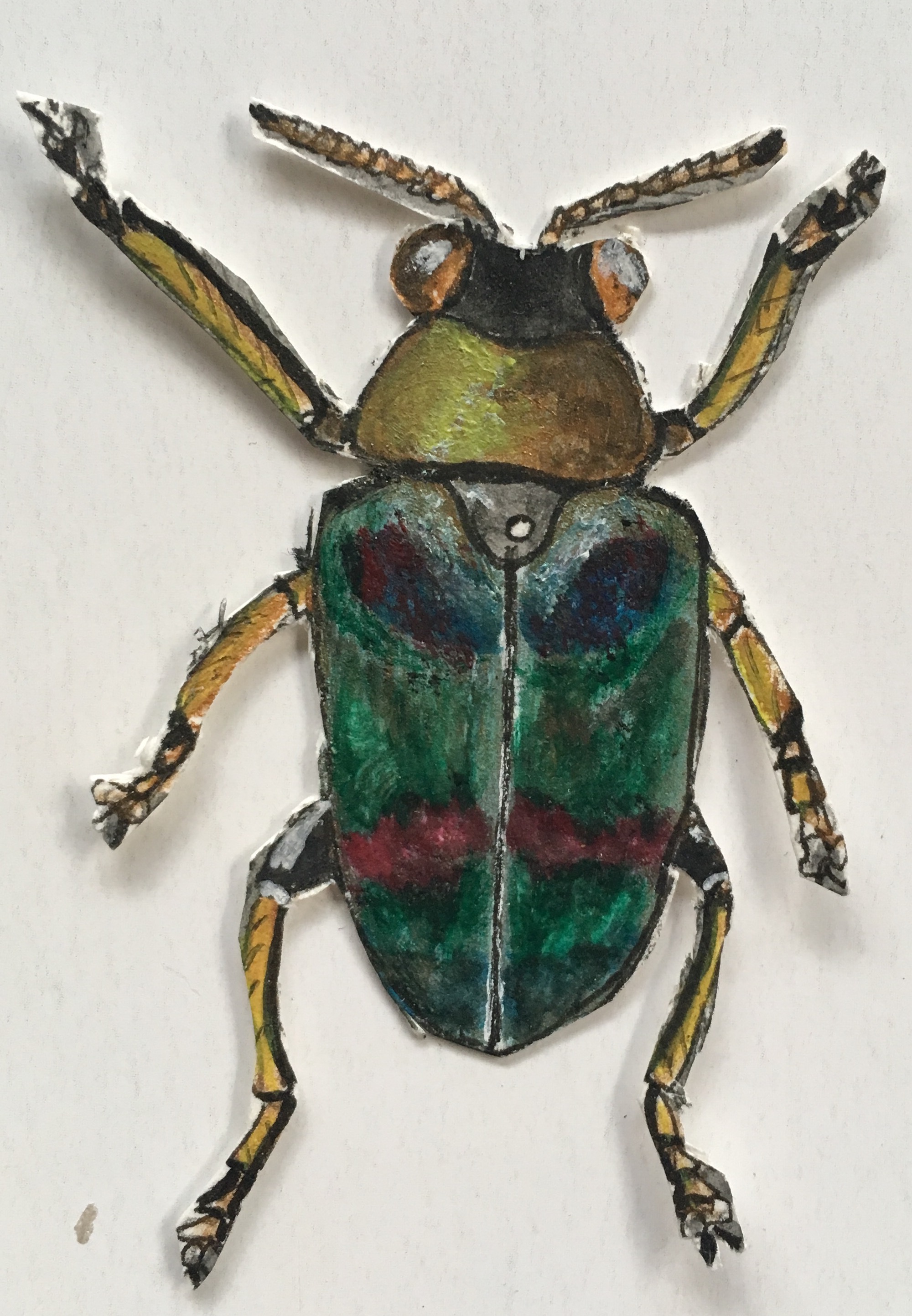 green and yellow bug cut out.jpg