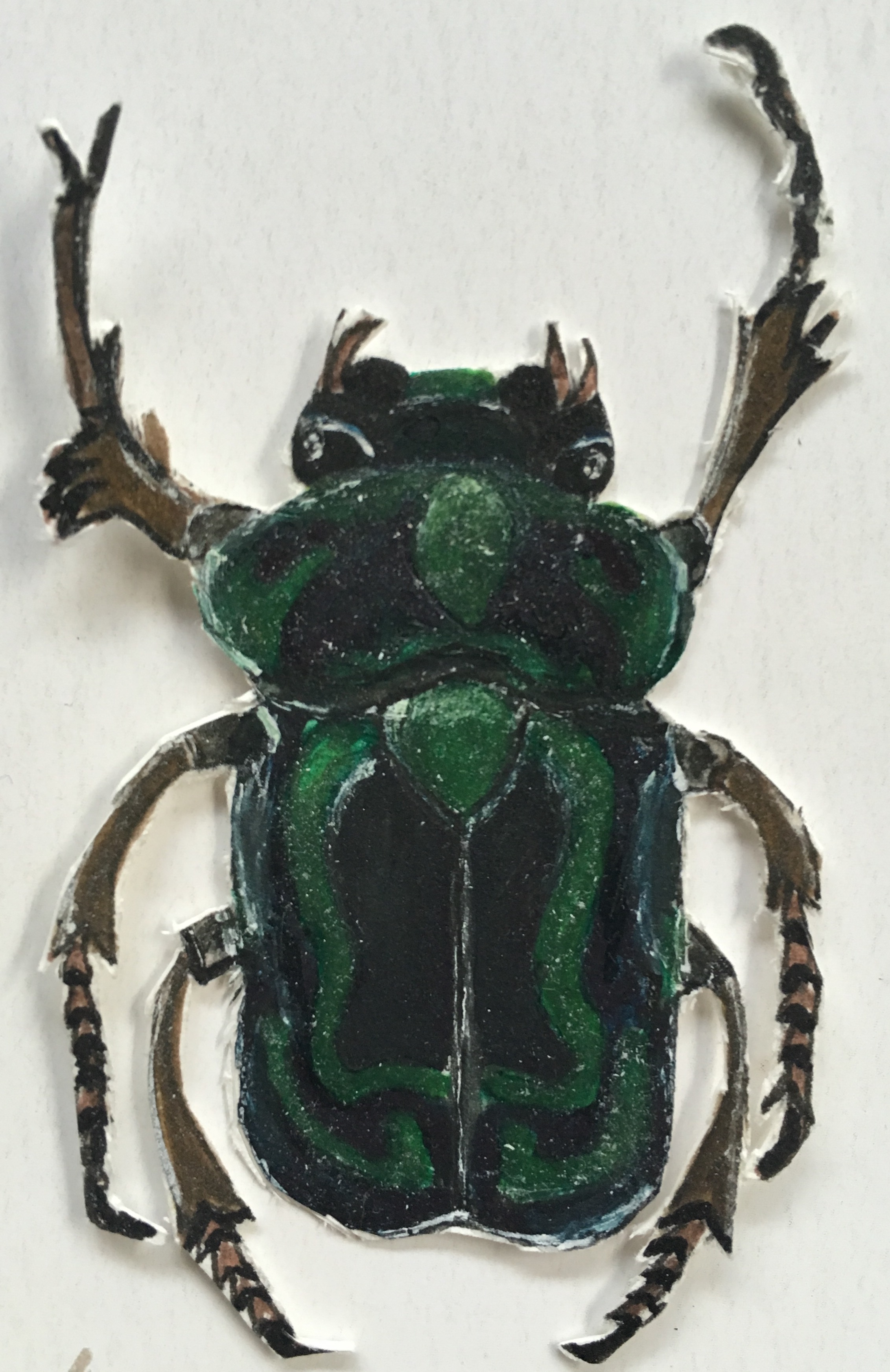 Green bug cutout.jpg