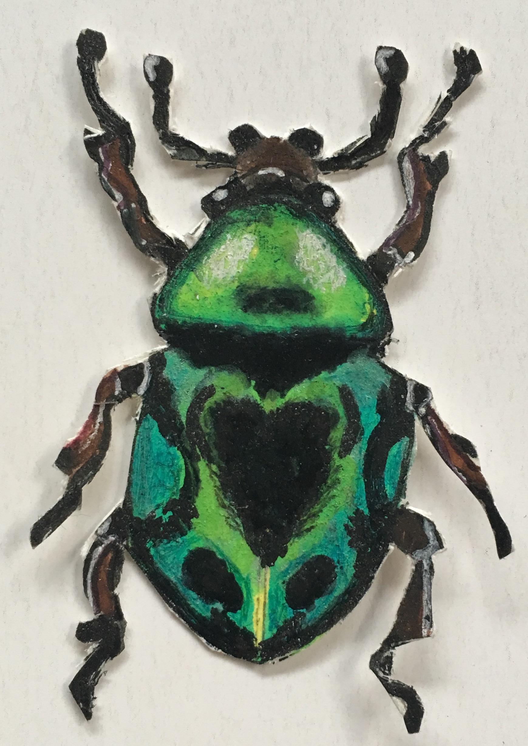 green bug cutout with teal.jpg