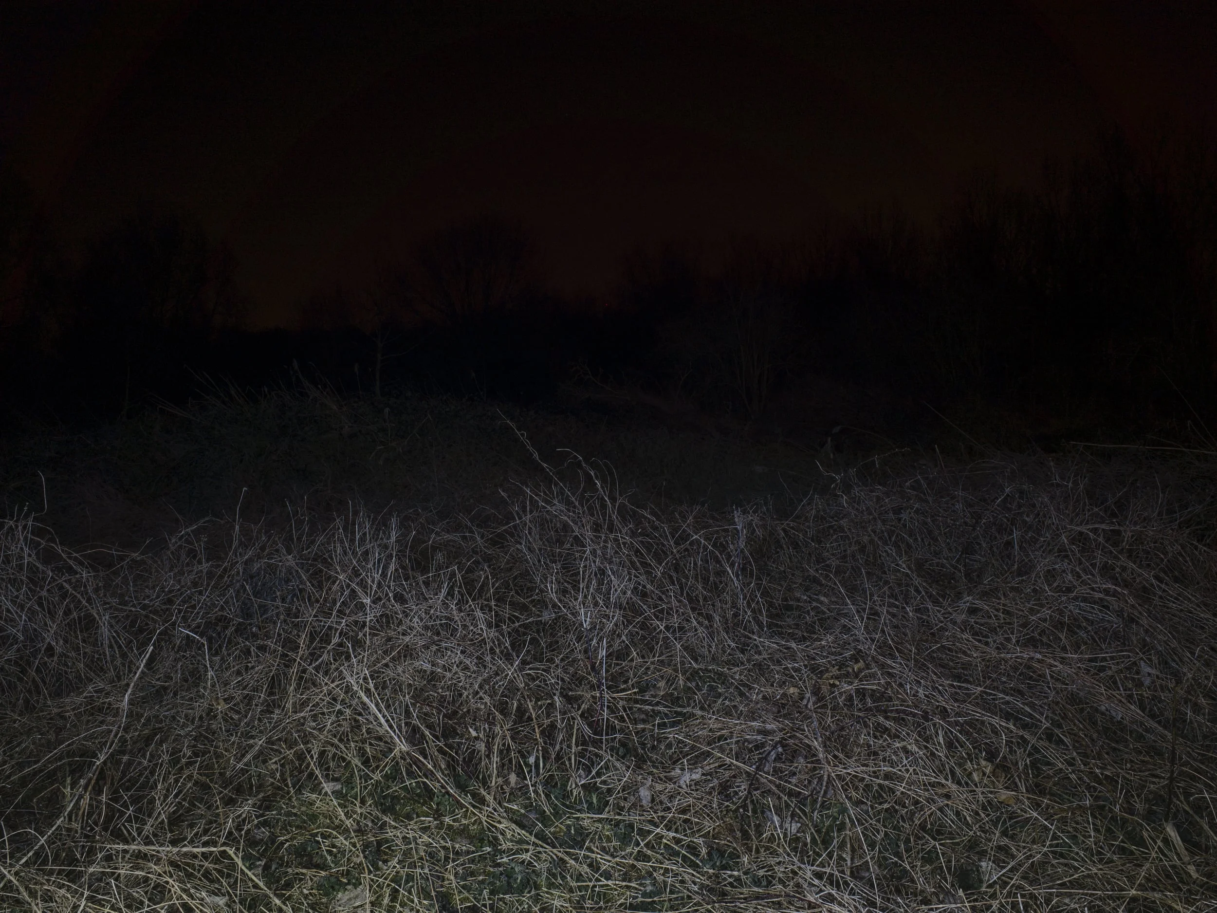_R002935.jpg