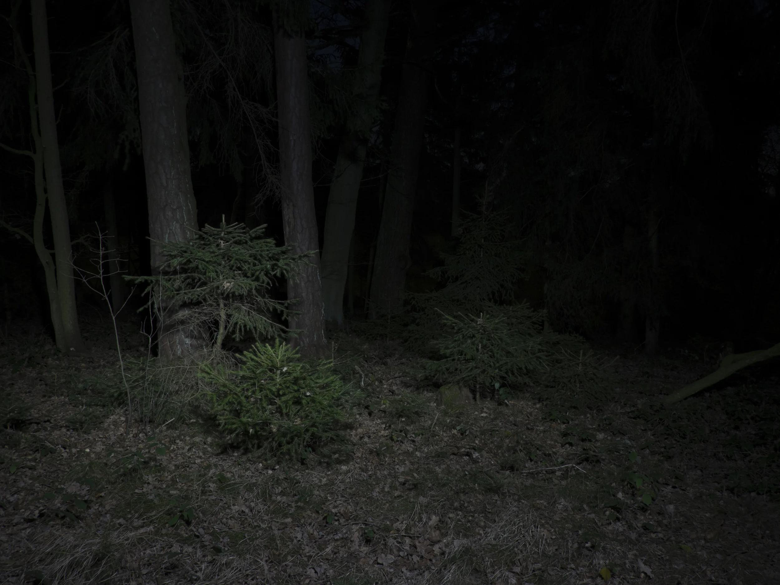 DSCF3623.jpg