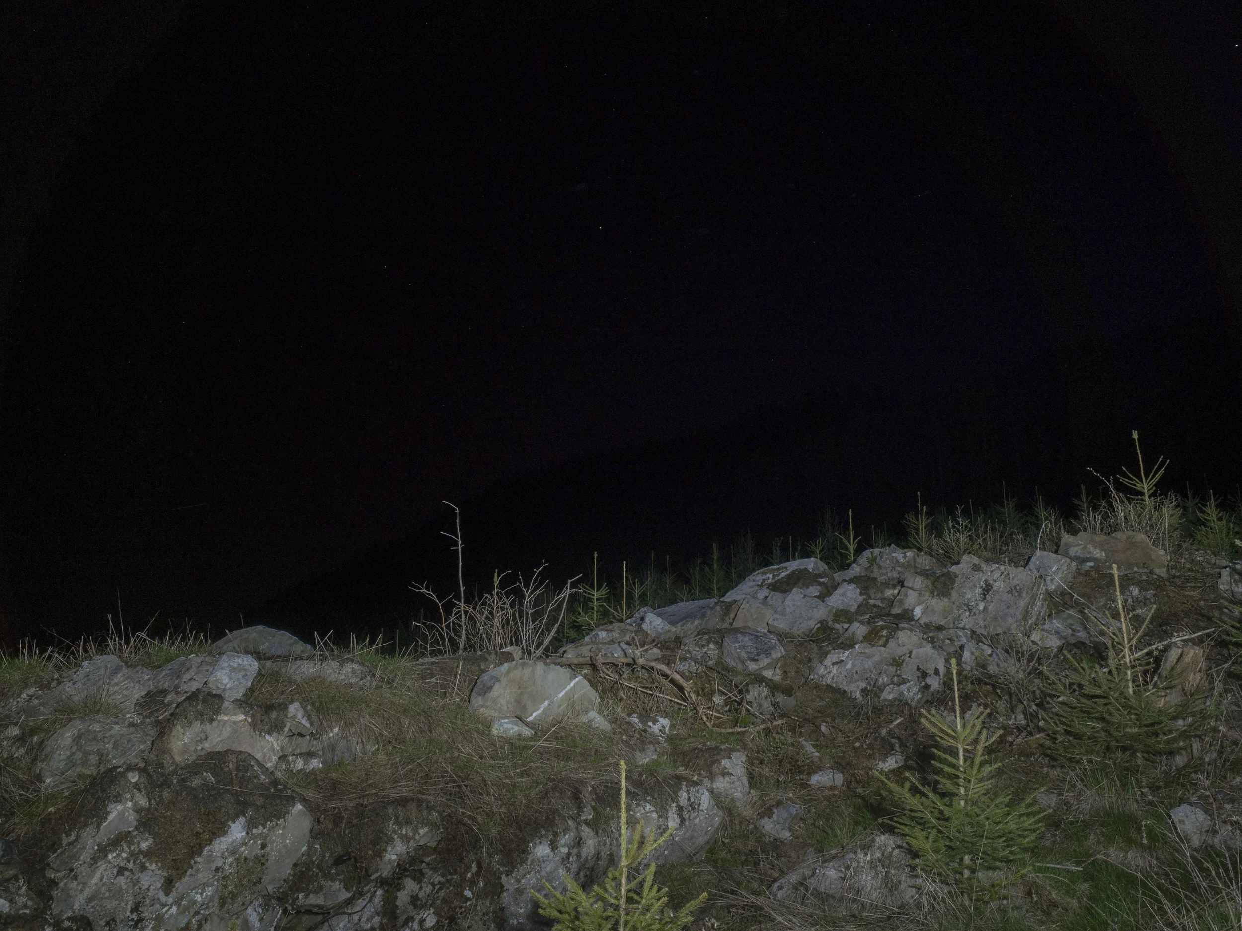_R003489.jpg