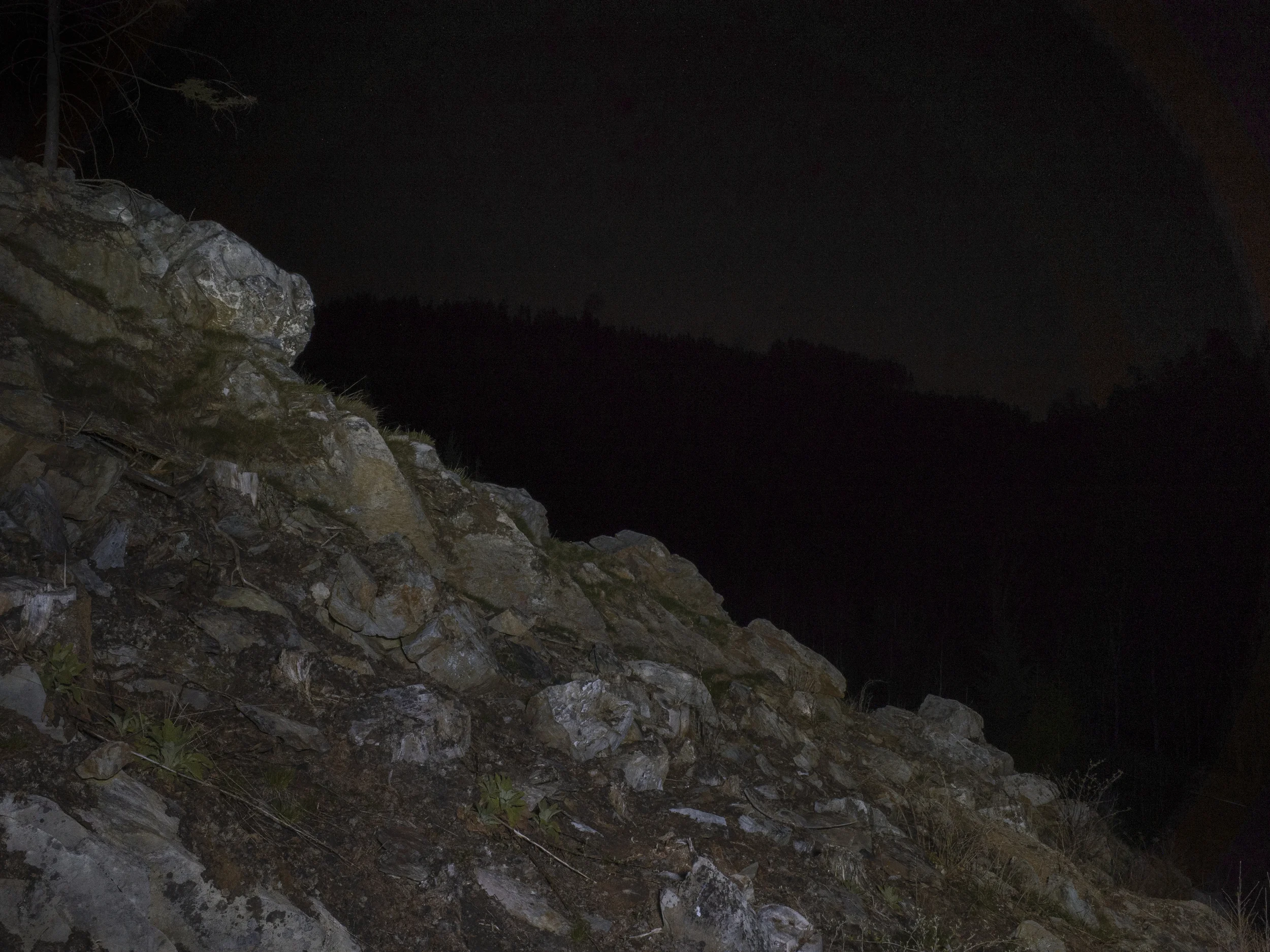 _R003508.jpg