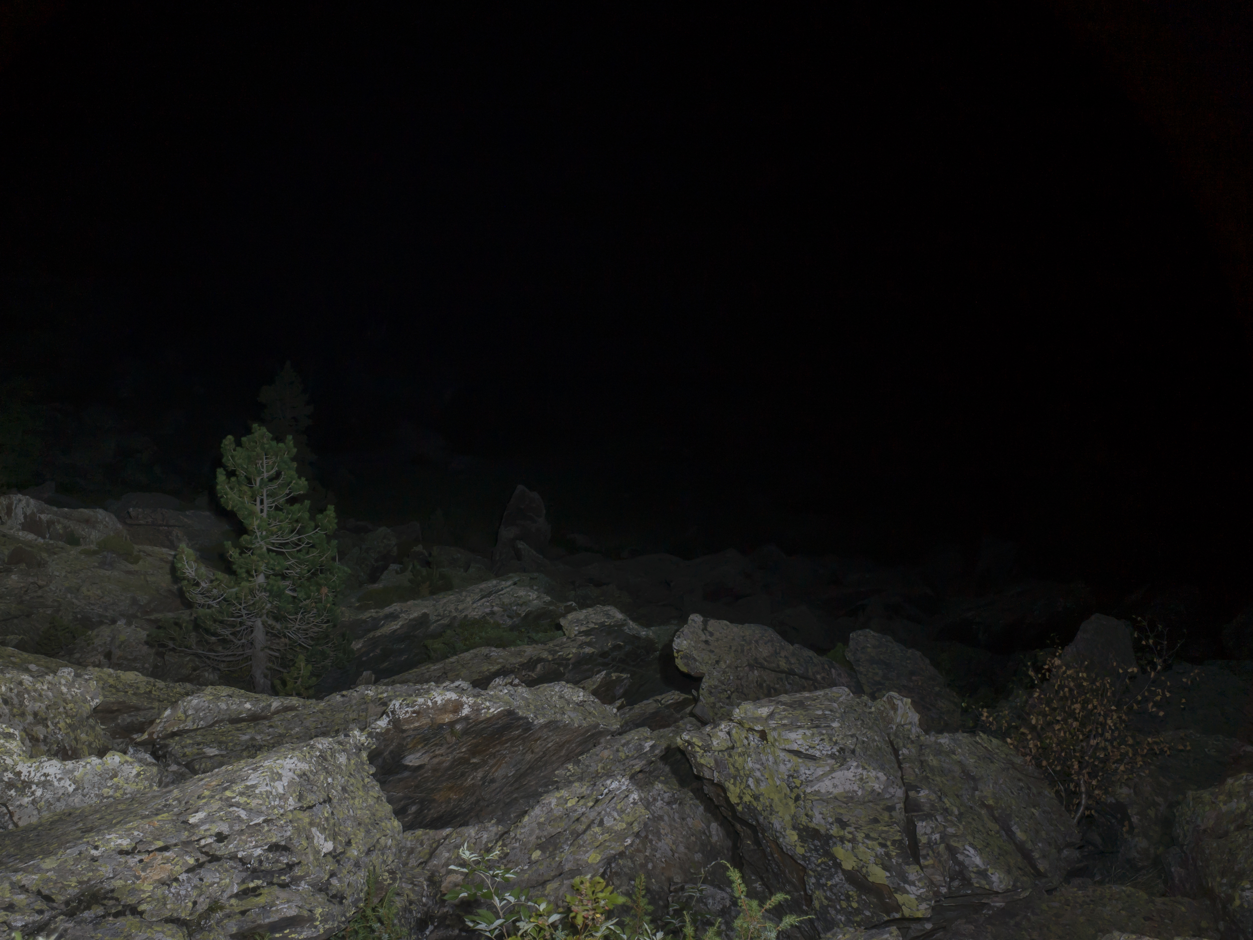 _R010131.jpg