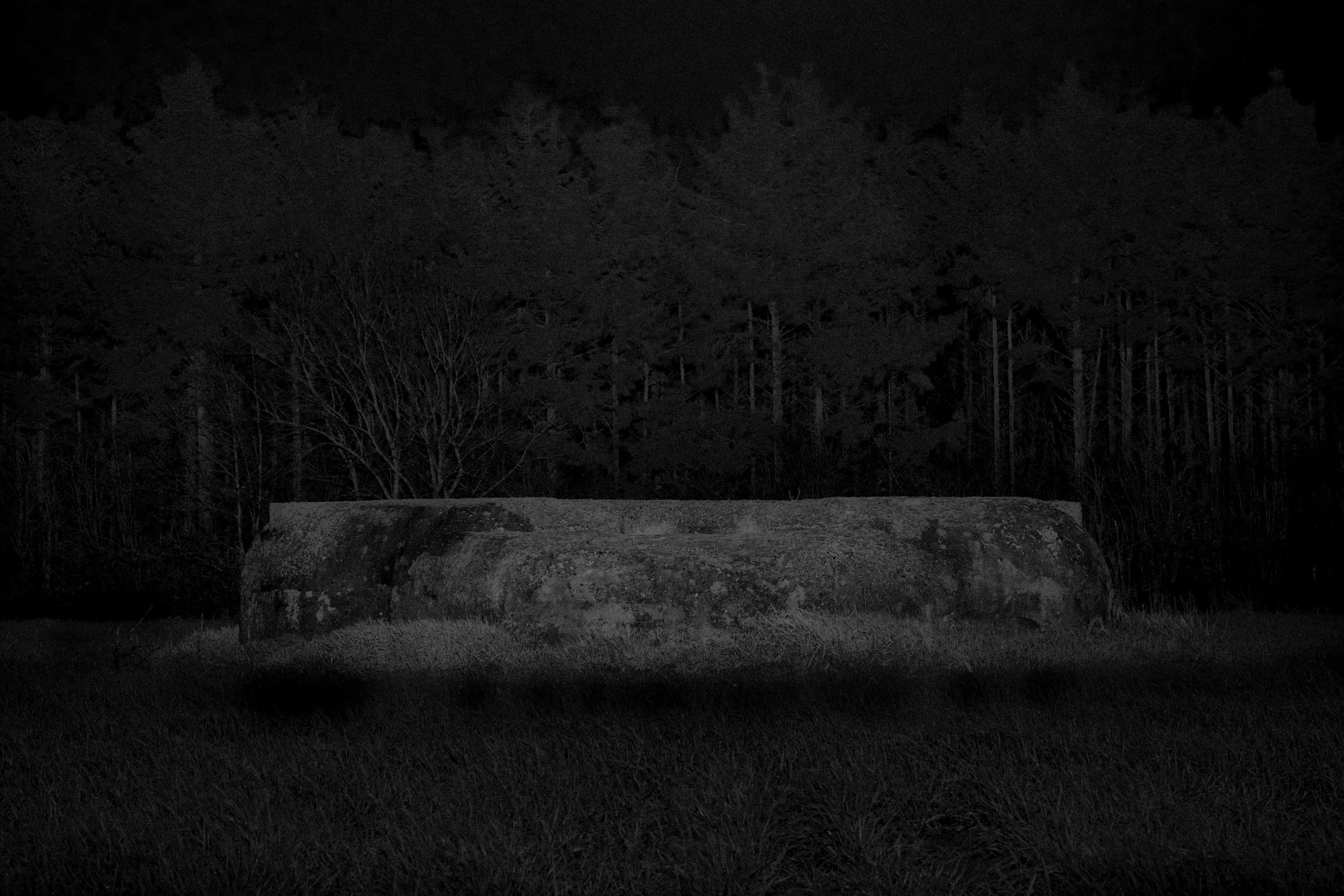 DSCF3660.jpg