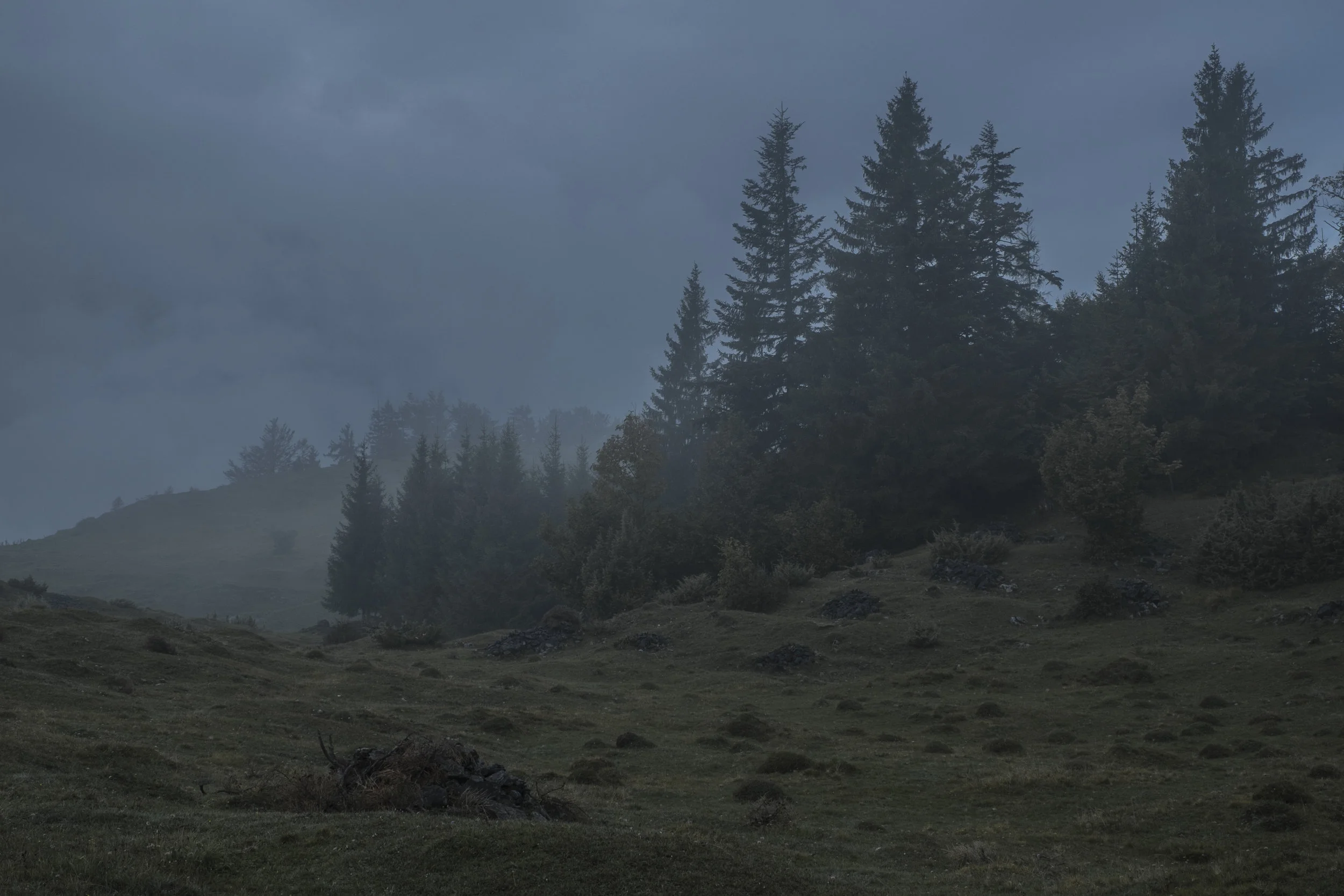 DSCF7297.jpg