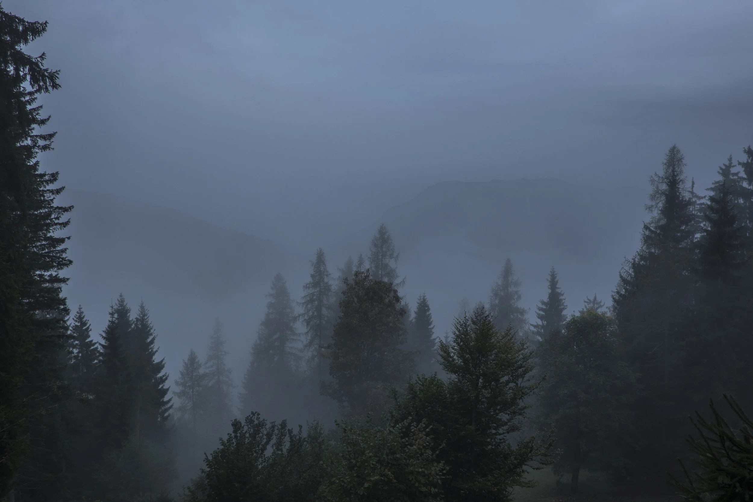 DSCF7552.jpg