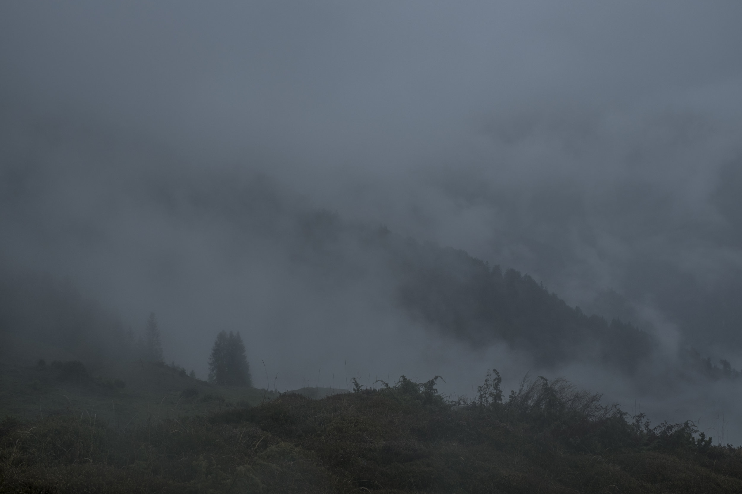 DSCF7589.jpg