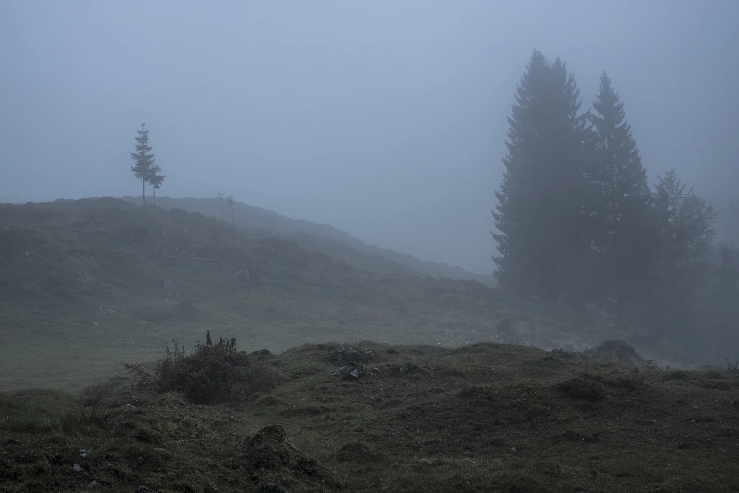 DSCF7665.jpg