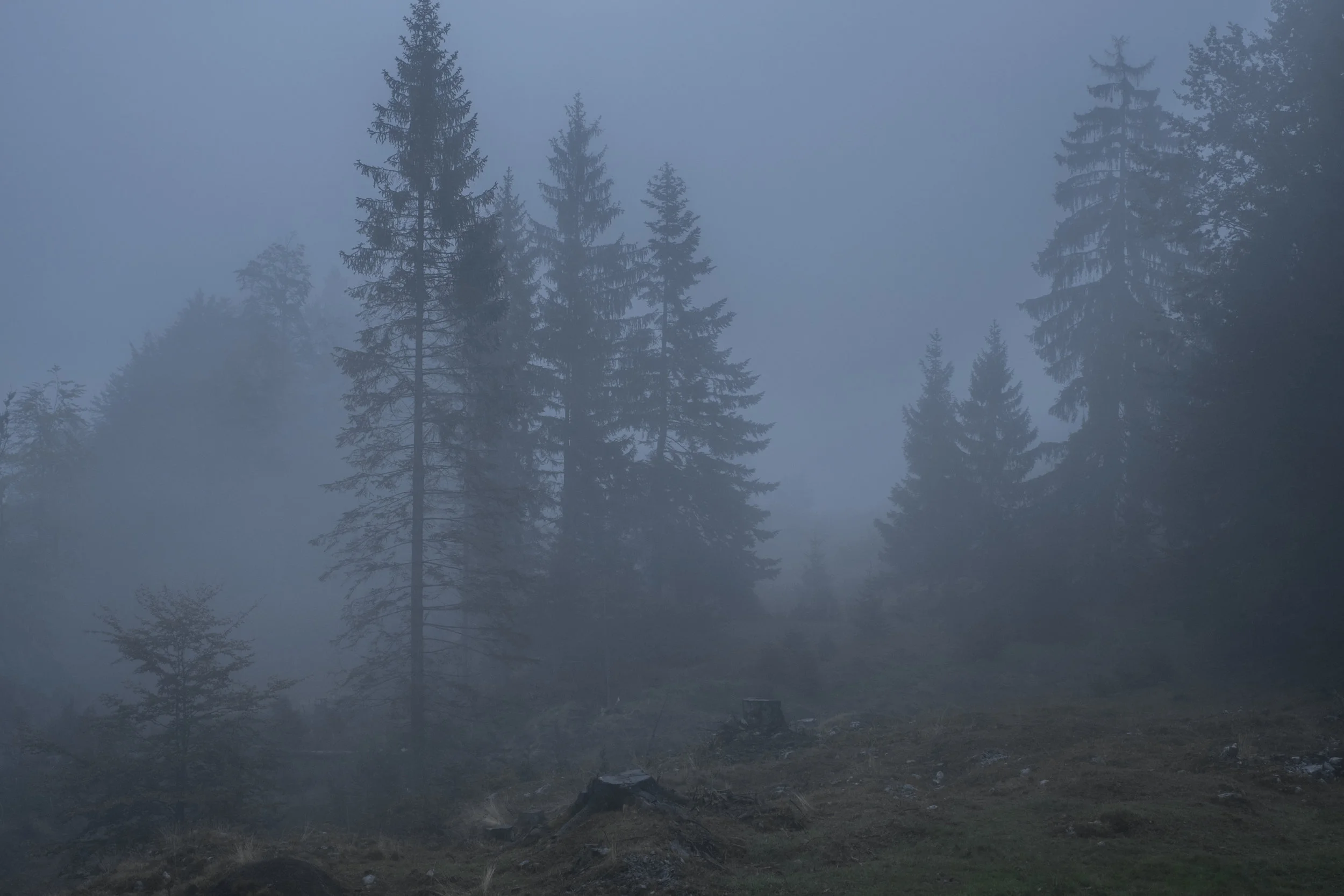 DSCF7683.jpg