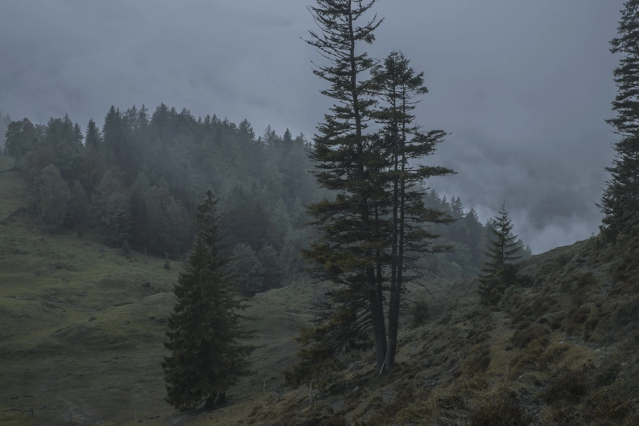 DSCF7748.jpg