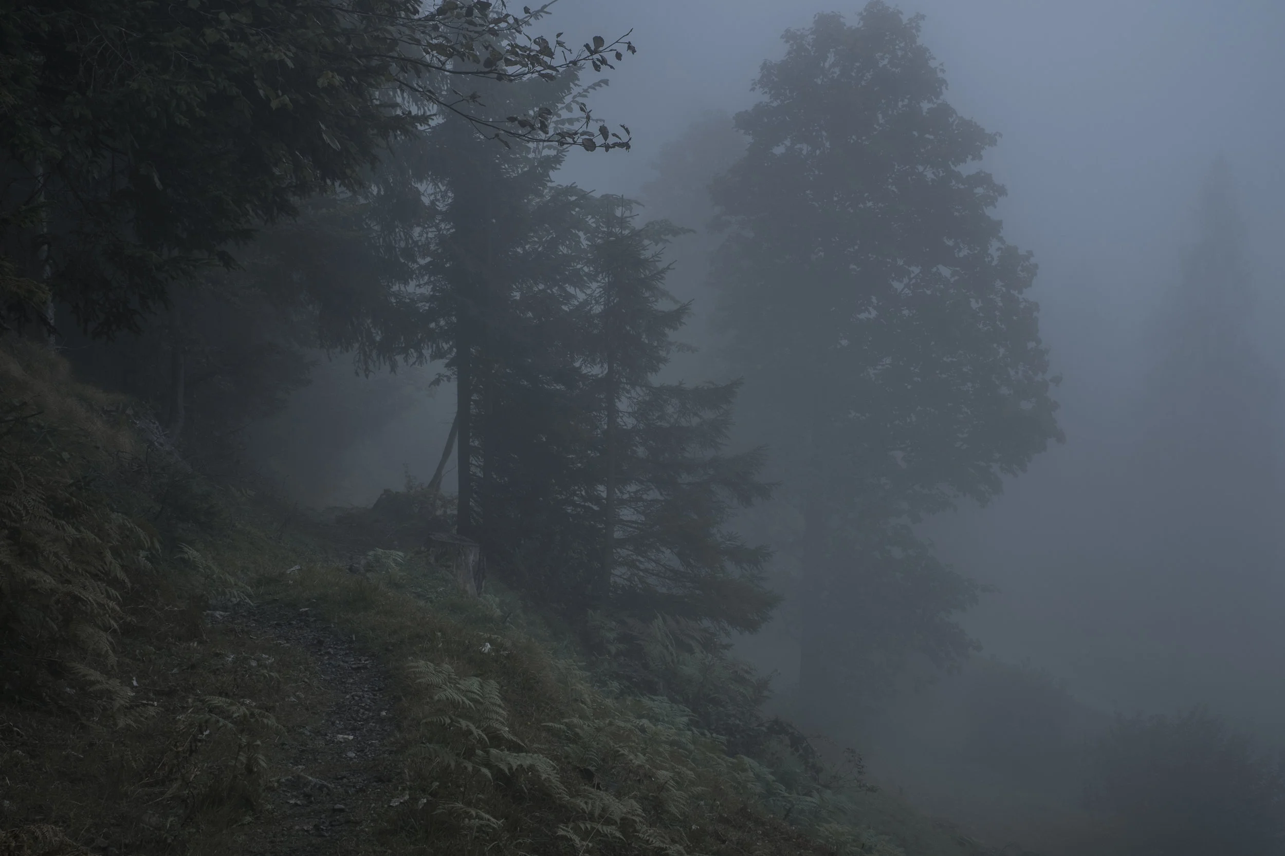 DSCF7825.jpg