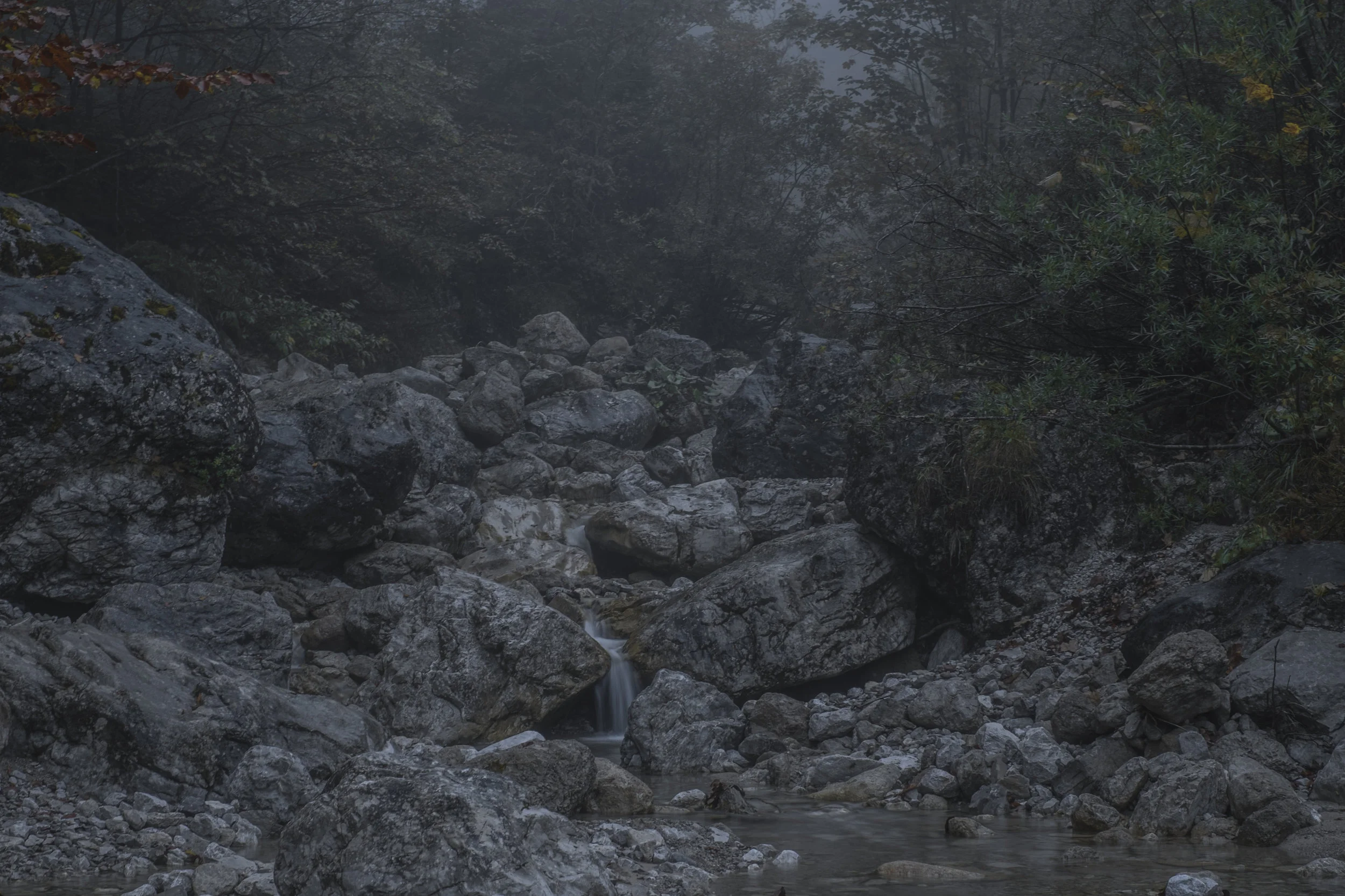 DSCF7871.jpg