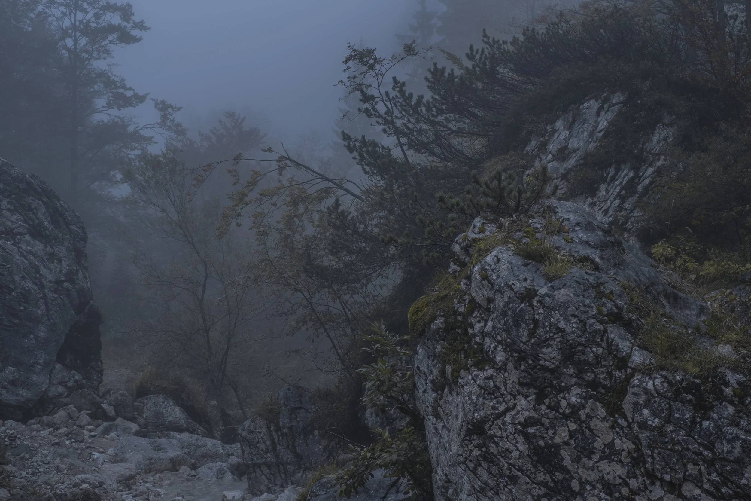 DSCF7891.jpg