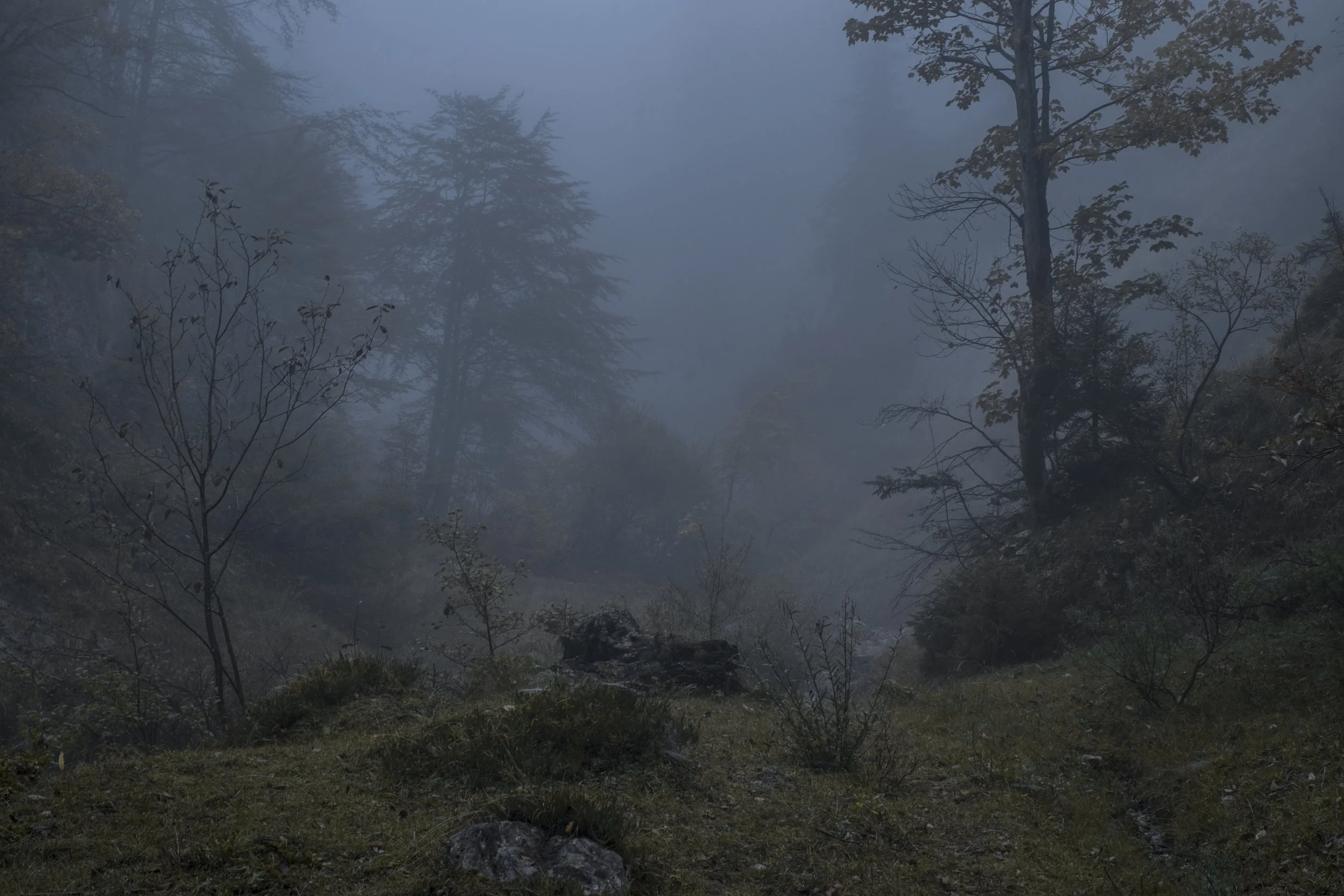 DSCF7982.jpg