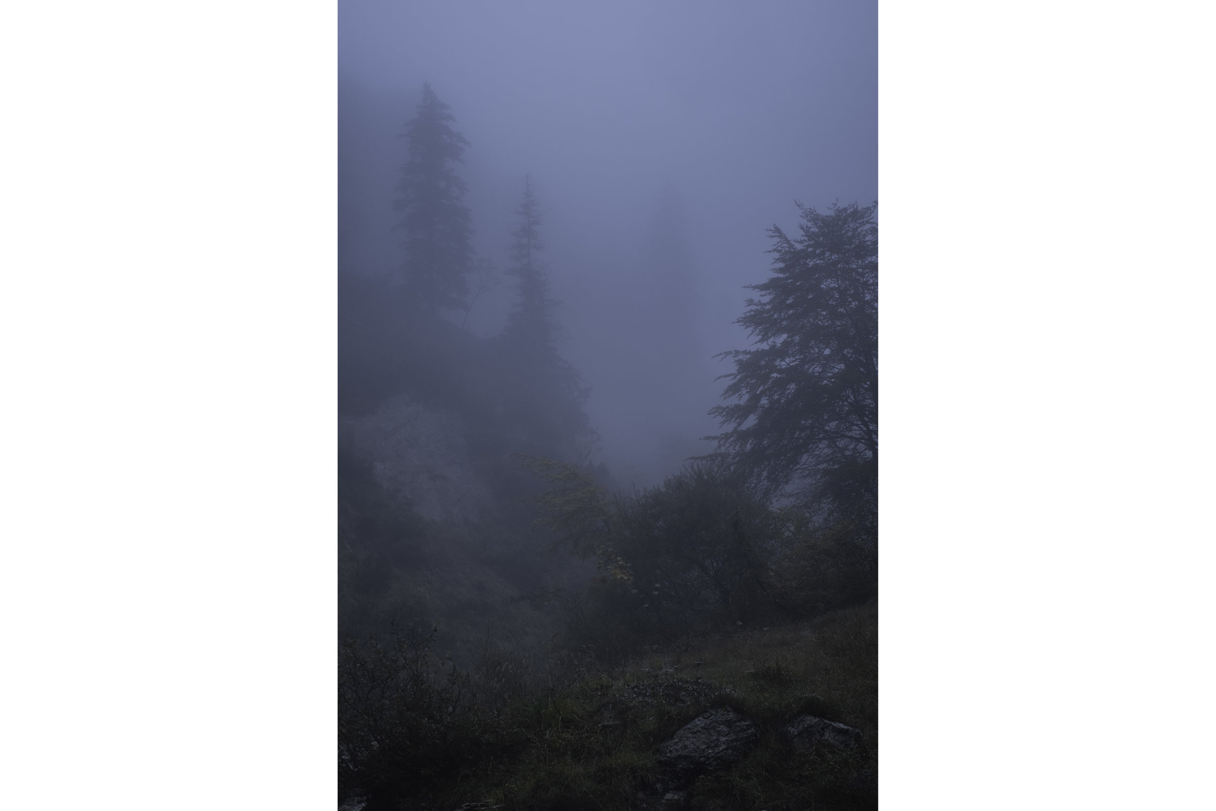 DSCF7987.jpg