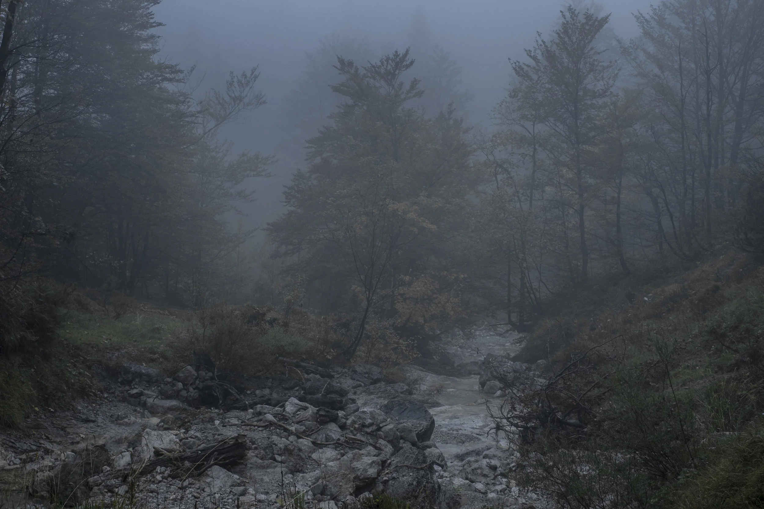 DSCF8001-2.jpg