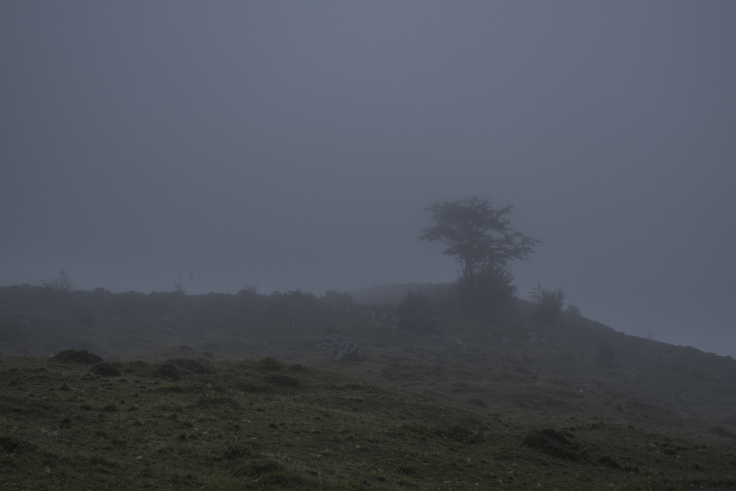 DSCF8314.jpg