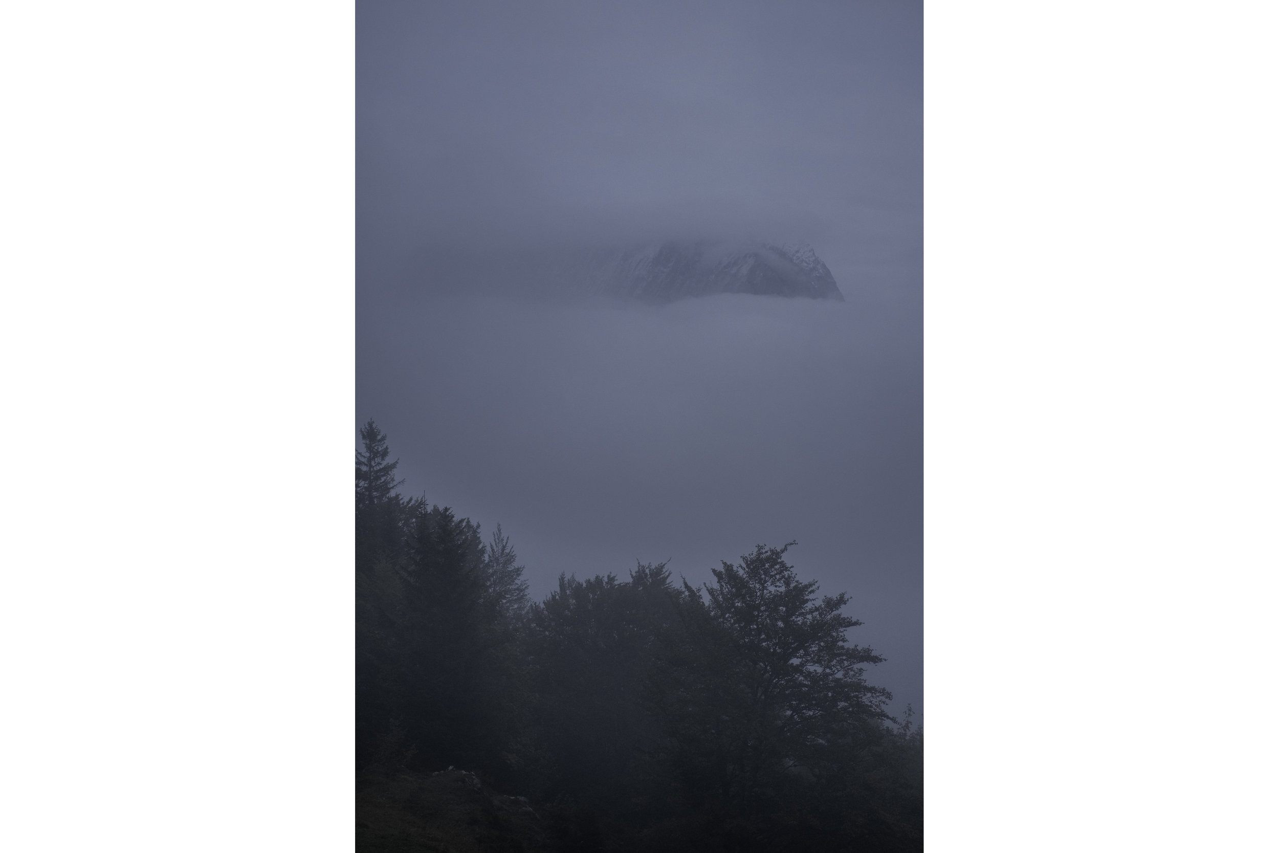 DSCF8349.jpg