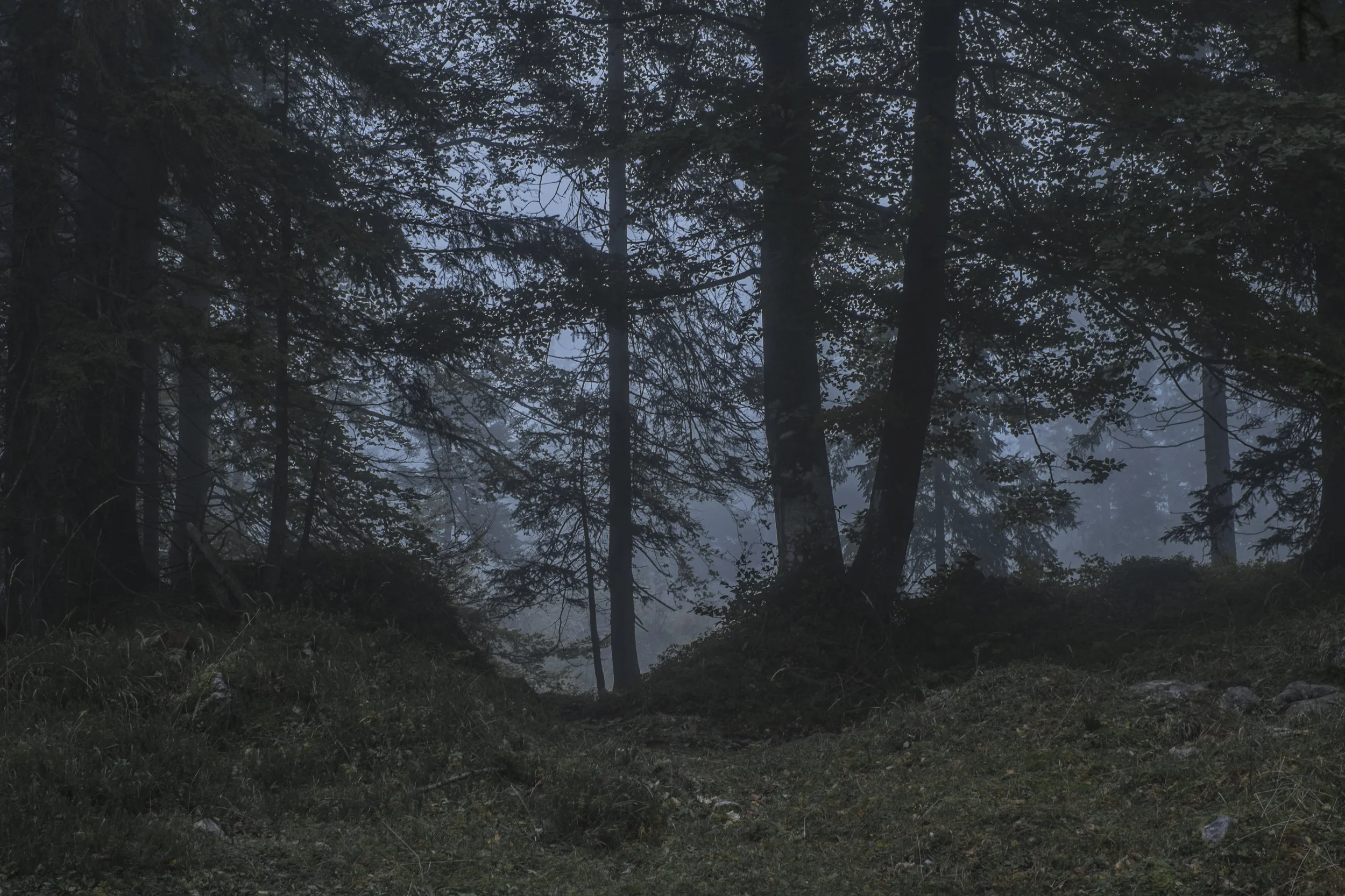 DSCF8385.jpg