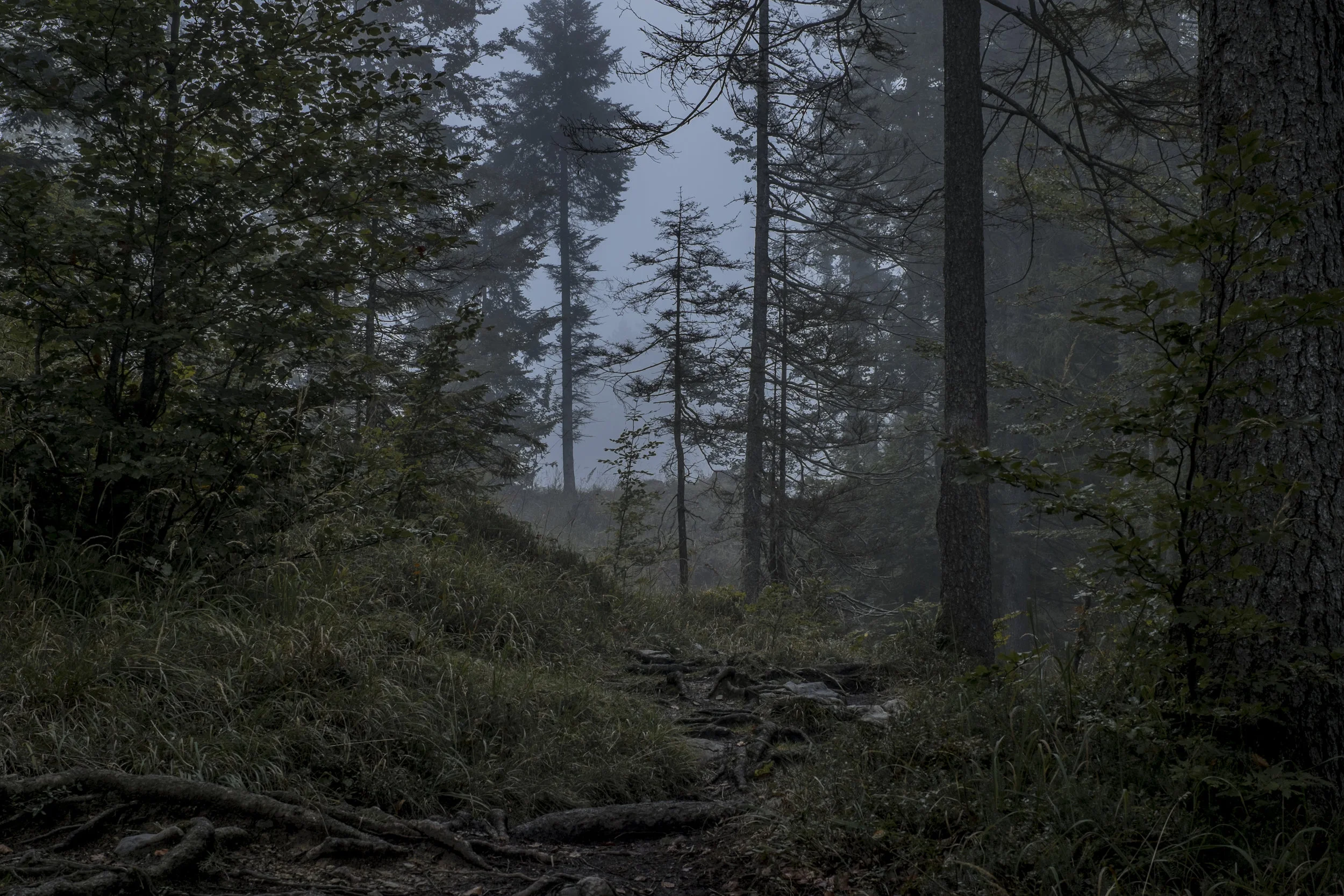 DSCF8444.jpg