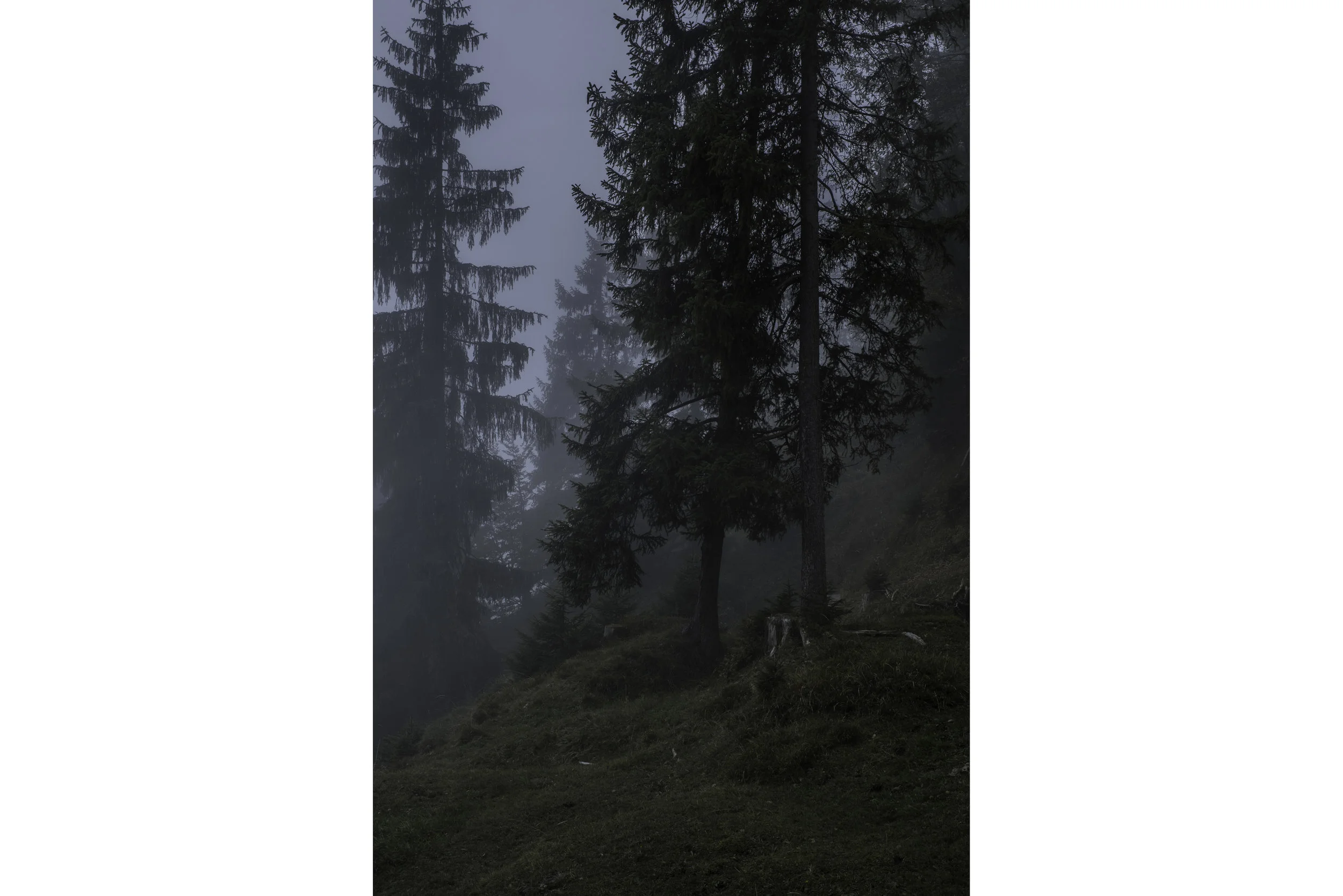 DSCF8555.jpg