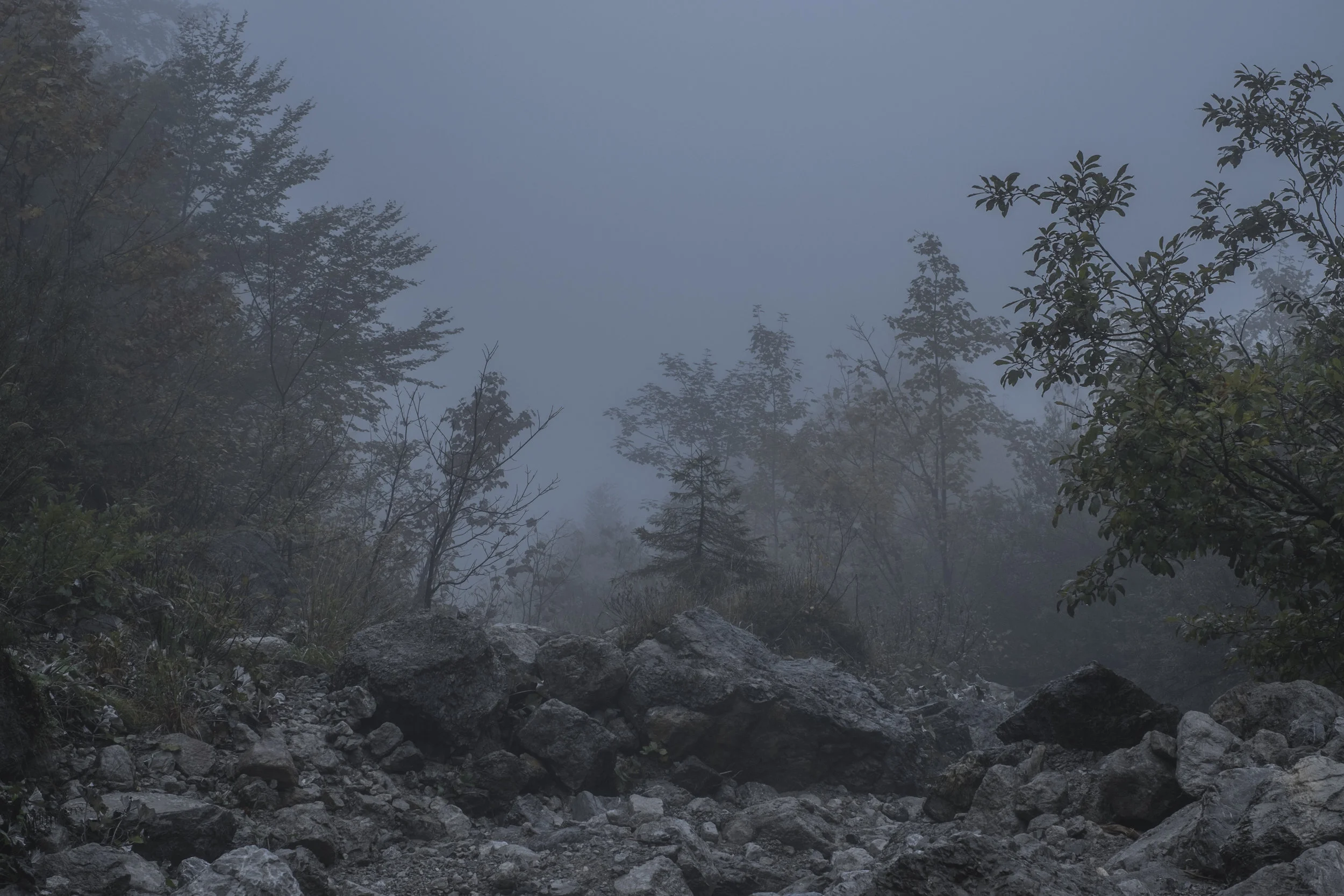 DSCF8052.jpg