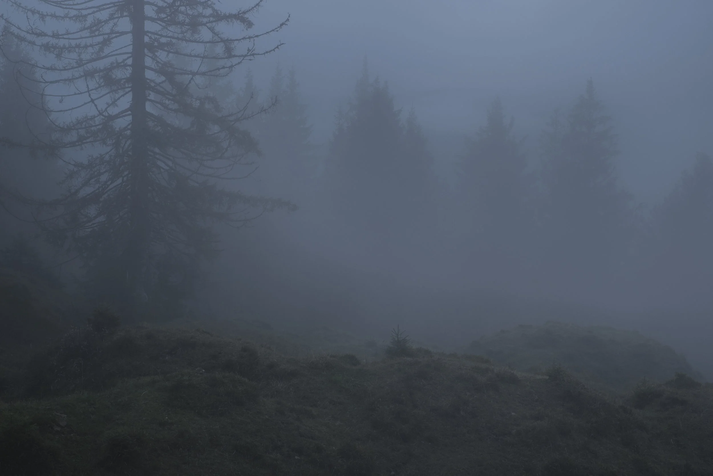 DSCF8574.jpg