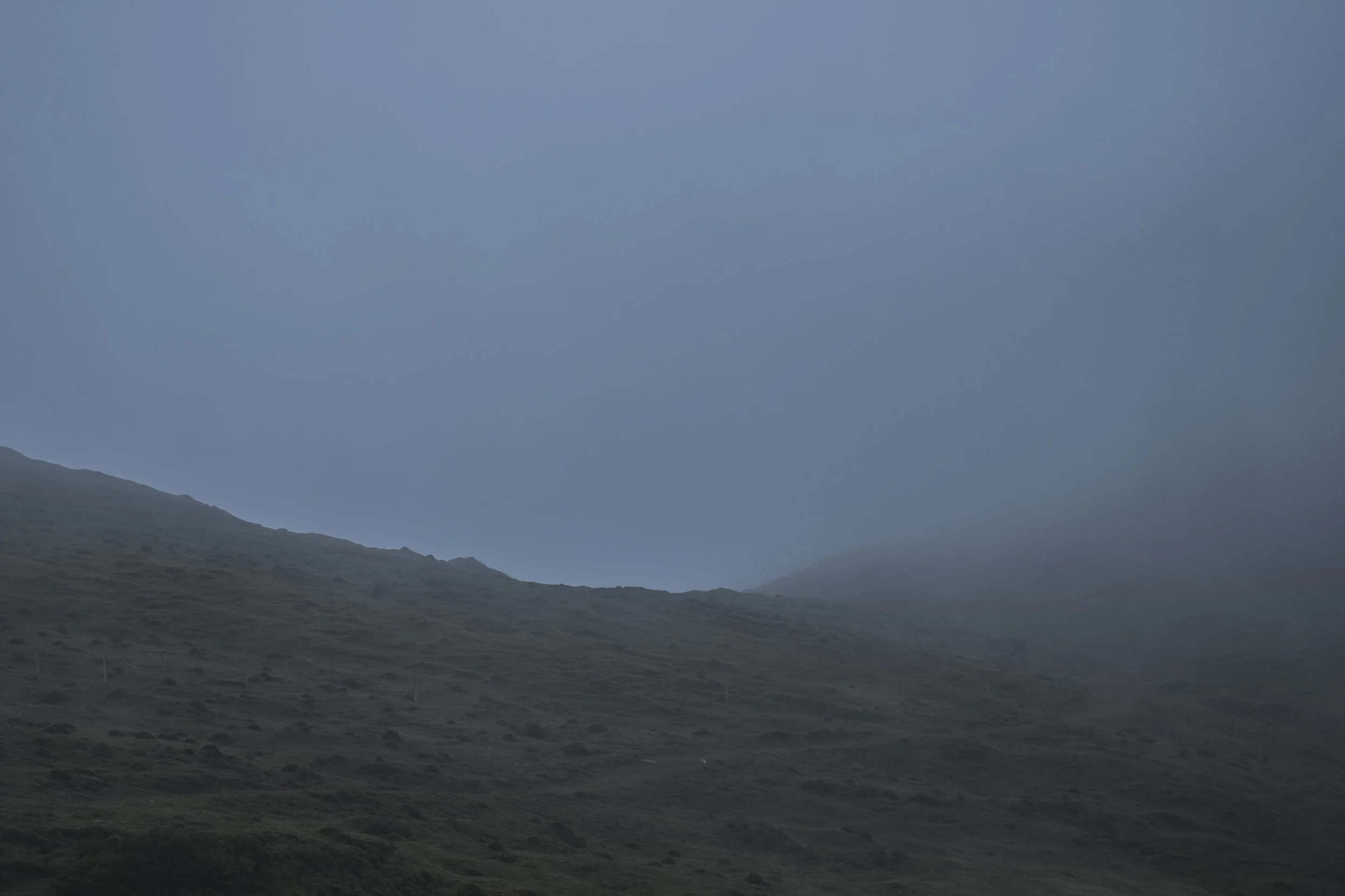 DSCF7701.jpg