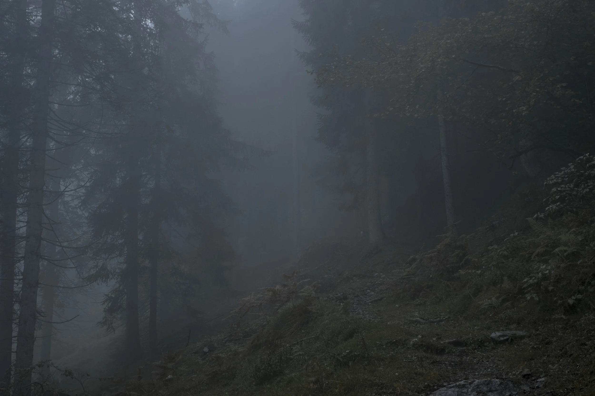 DSCF7838.jpg